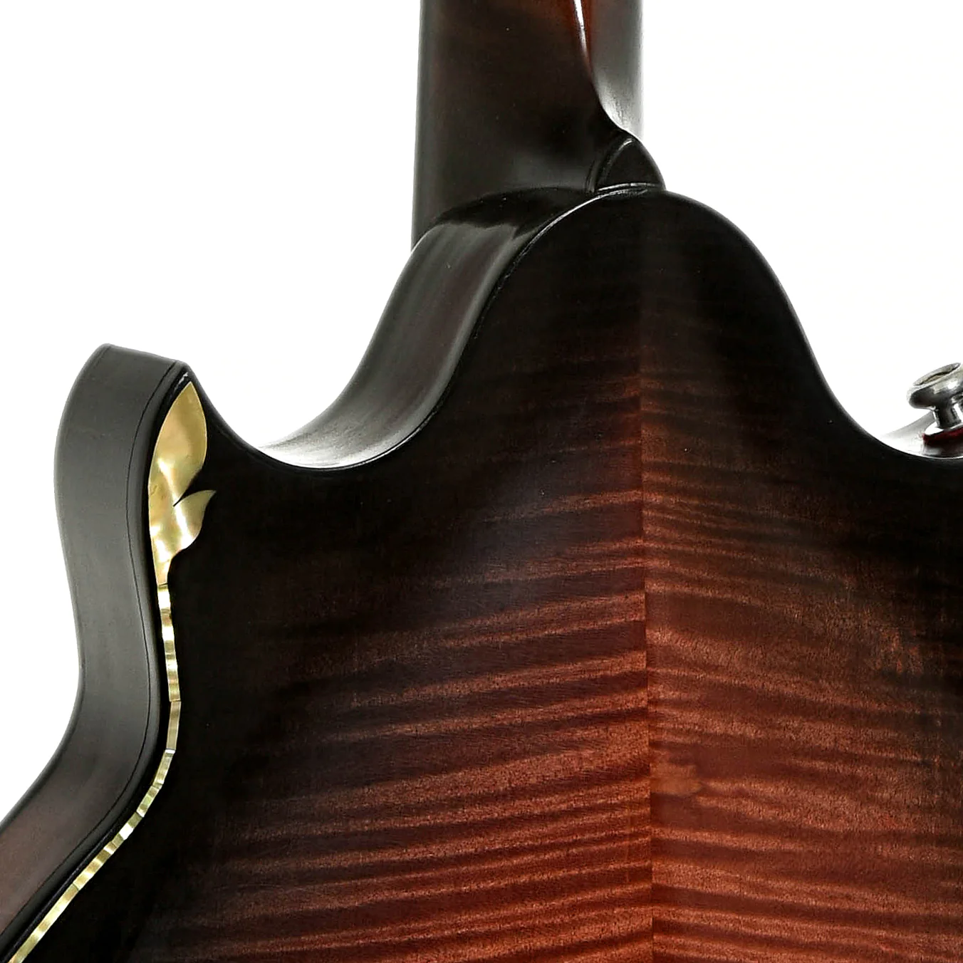 Phoenix Ultra Mandolin (1995) - Image 10
