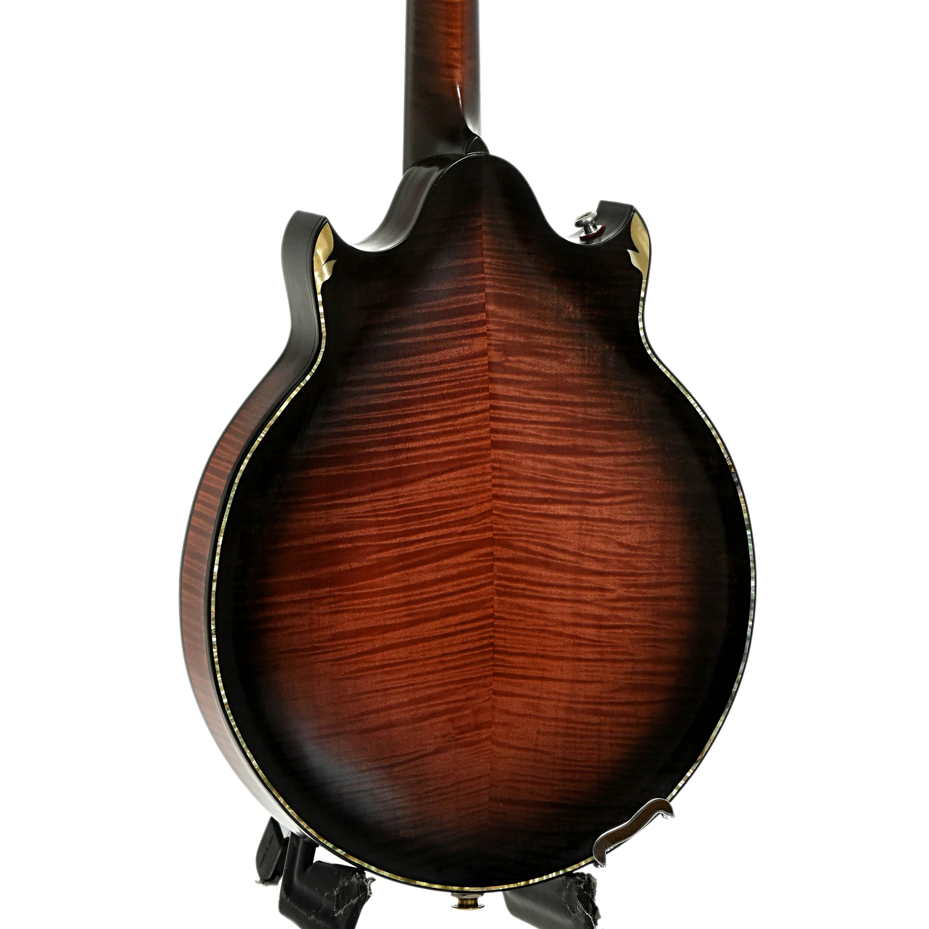 Phoenix Ultra Mandolin (1995) - Image 11