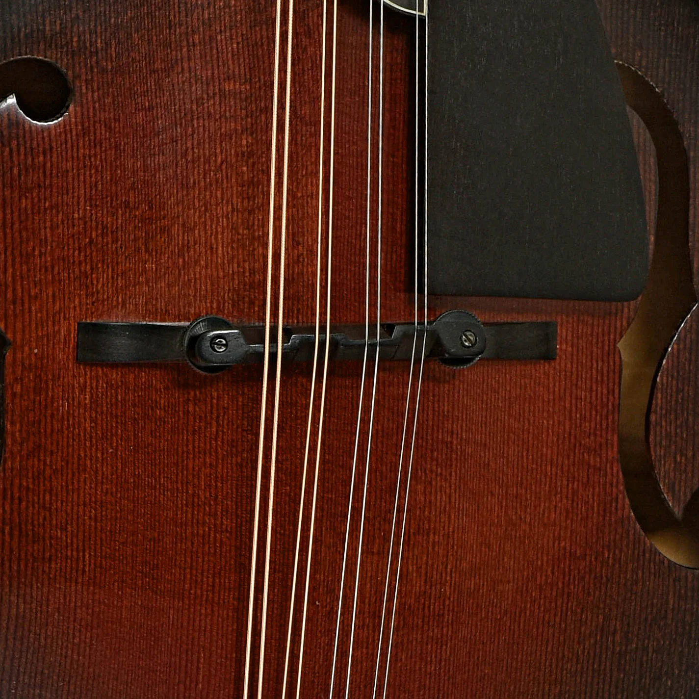Phoenix Ultra Mandolin (1995) - Image 6