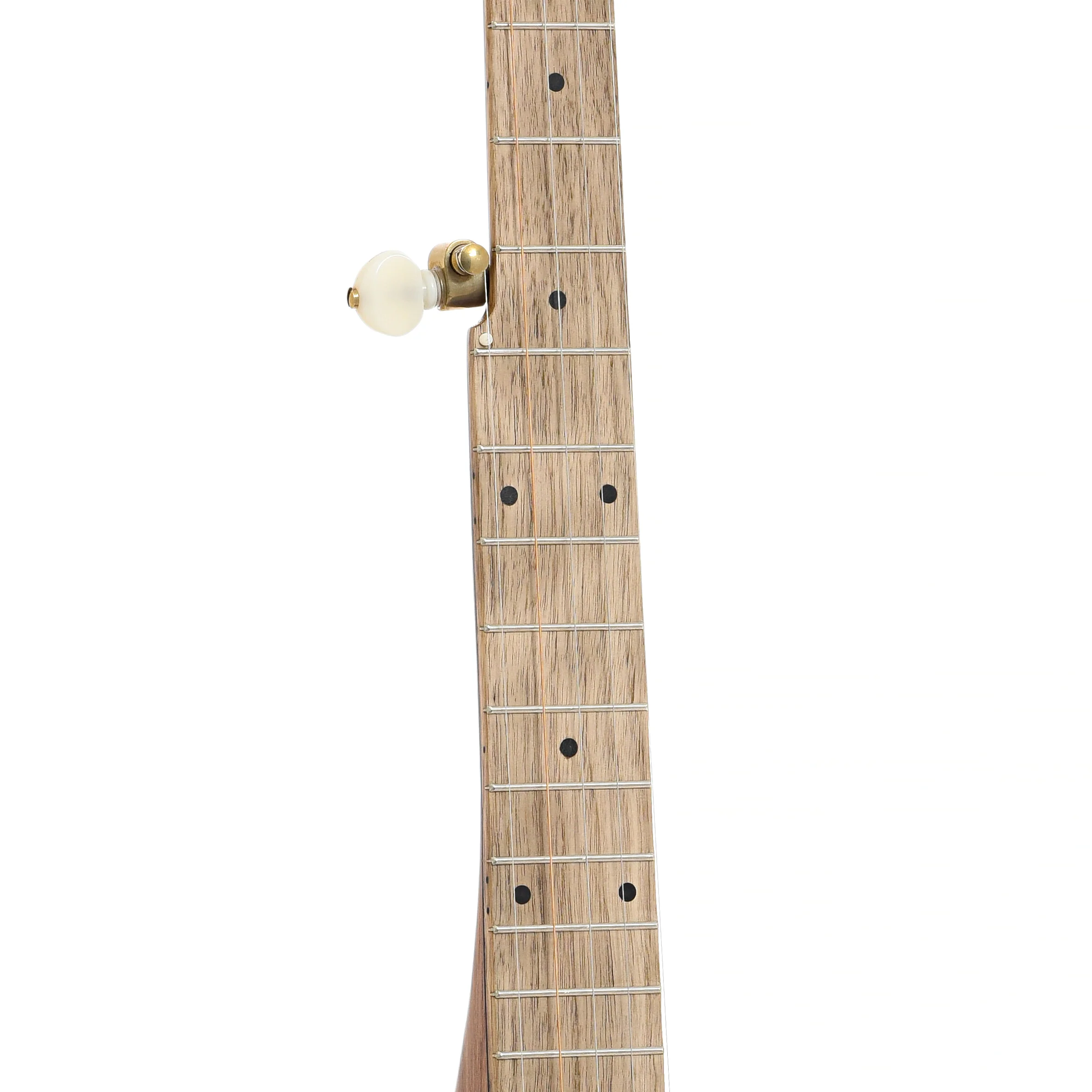 Pisgah Appalachian 11in A-Scale Openback Banjo & Gigbag, Walnut - Image 6