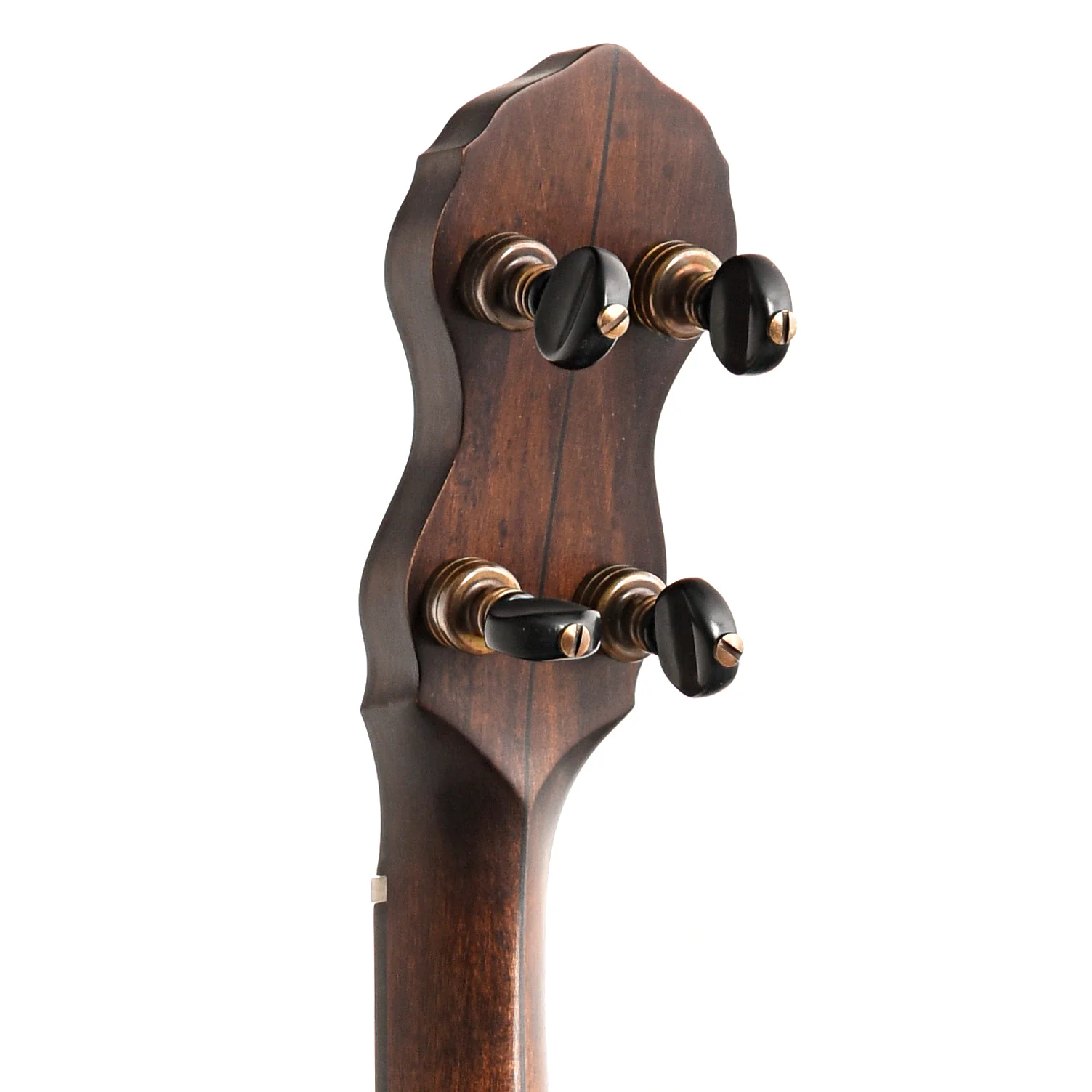 Pisgah Tubaphone 11in Short Scale Openback Banjo & Gigbag - Image 8