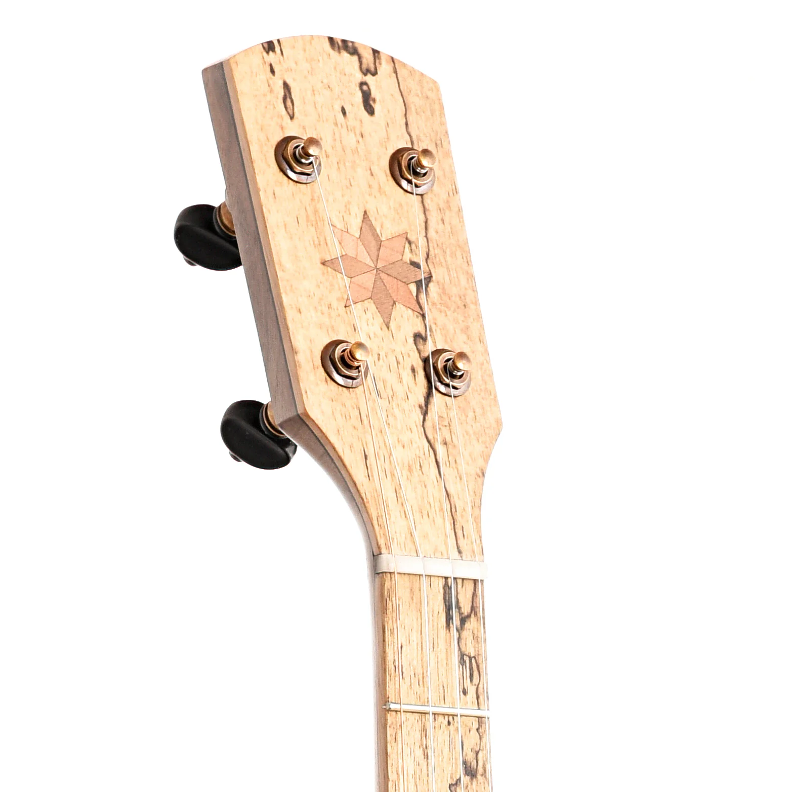 Pisgah Possum 12in Short Scale Openback Banjo & Gigbag, Walnut - Image 7