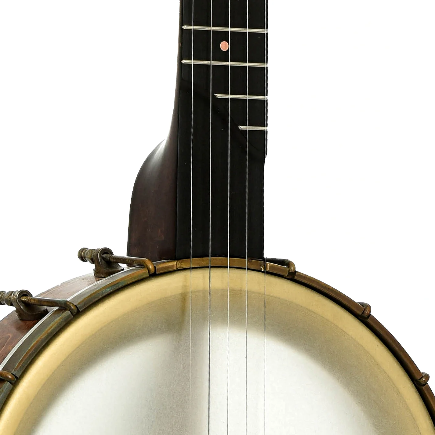 Pisgah Dobson Extra Long Neck Banjo (2021) - Image 6