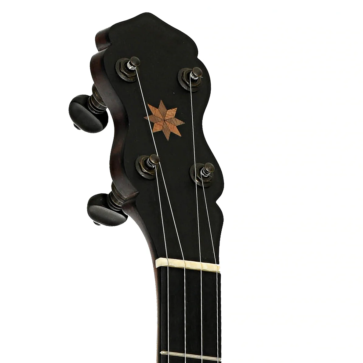 Pisgah Dobson Extra Long Neck Banjo (2021) - Image 8