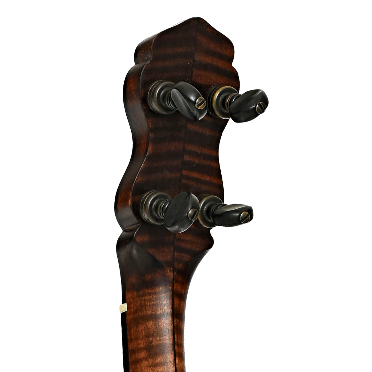 Pisgah Dobson Extra Long Neck Banjo (2021) - Image 9