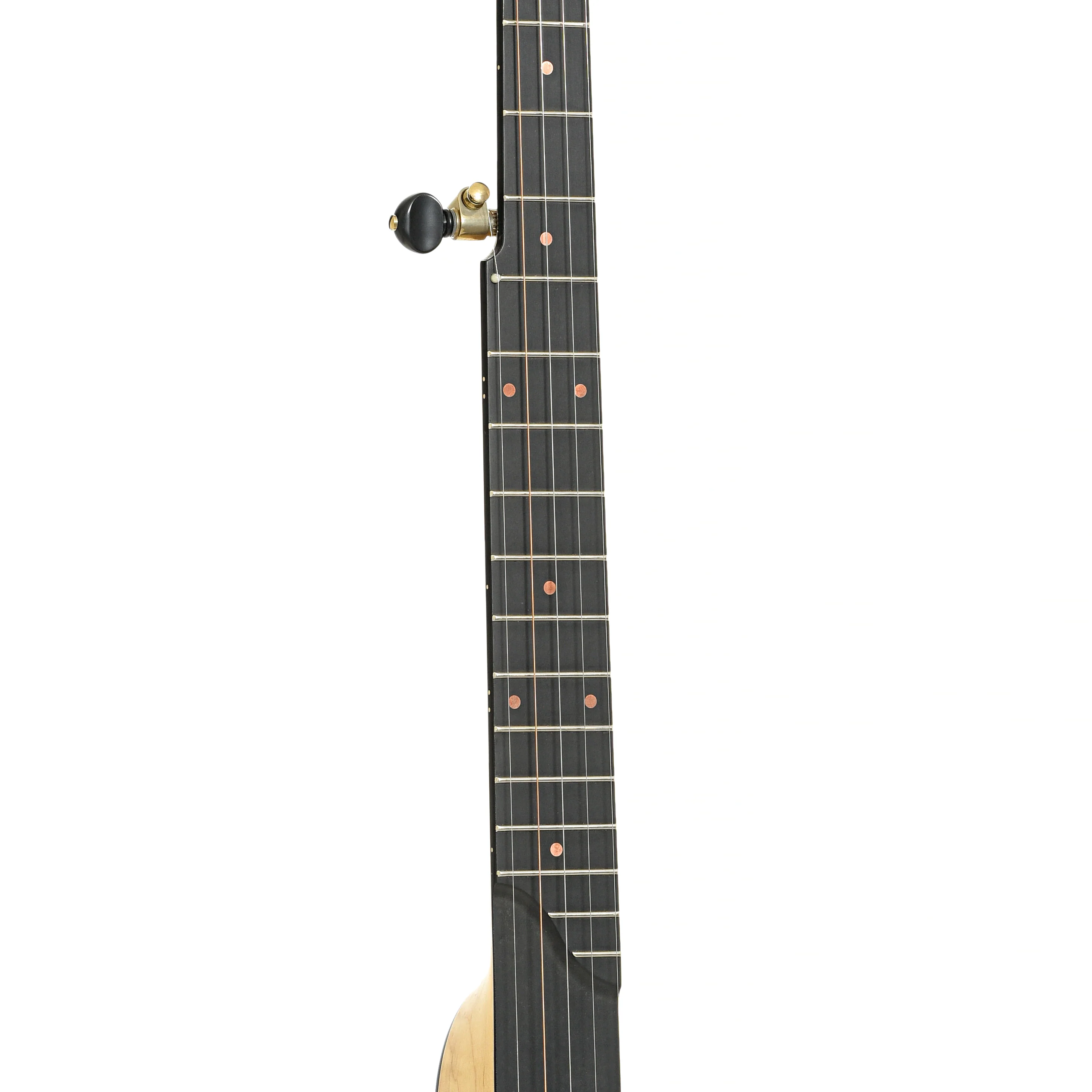 Pisgah Laydie 11in Short Scale Openback Banjo & Gigbag - Image 6