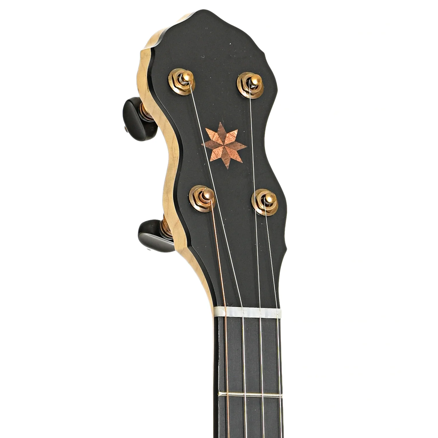 Pisgah Laydie 11in Short Scale Openback Banjo & Gigbag - Image 7