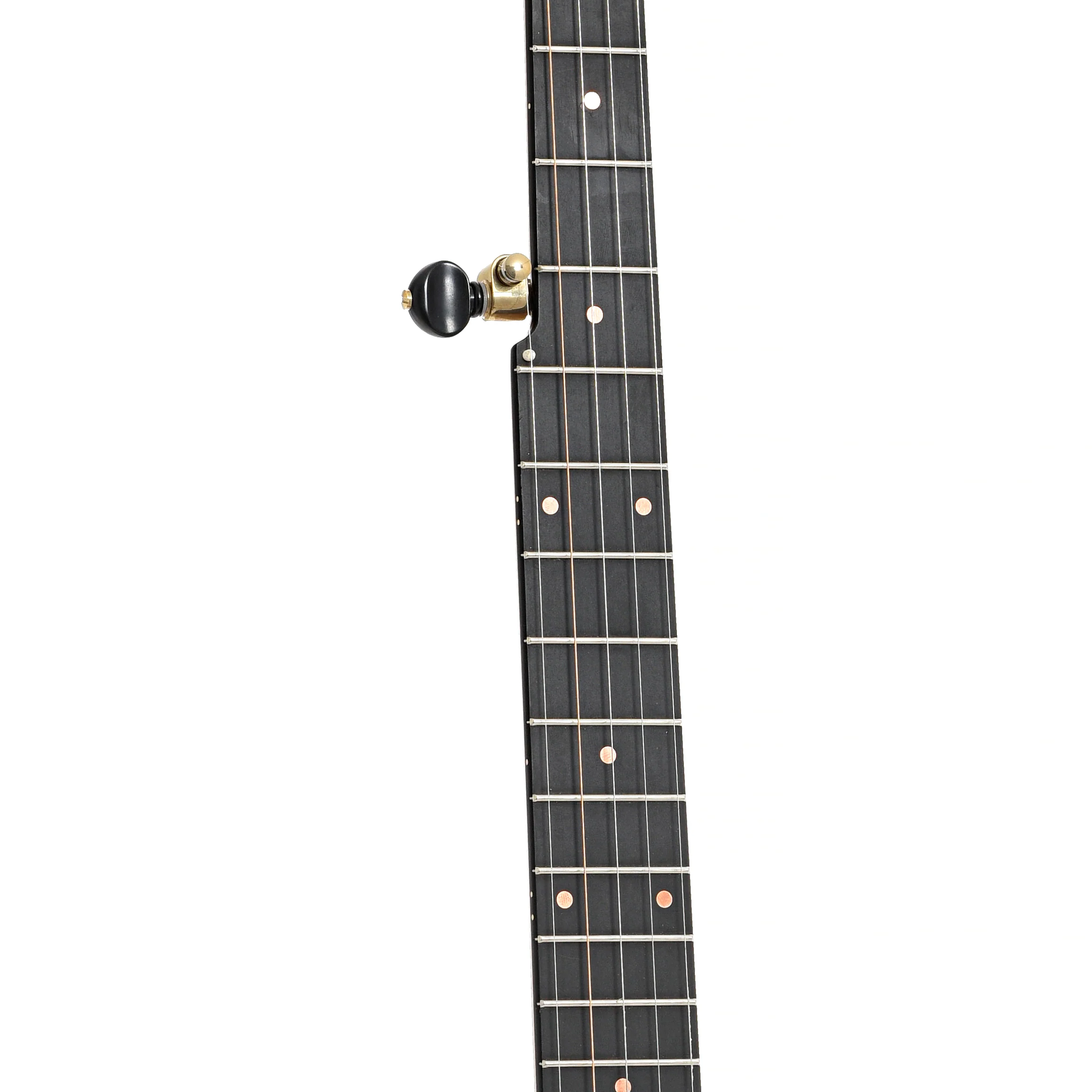 Pisgah Laydie 12in Short Scale Openback Banjo & Gigbag - Image 7