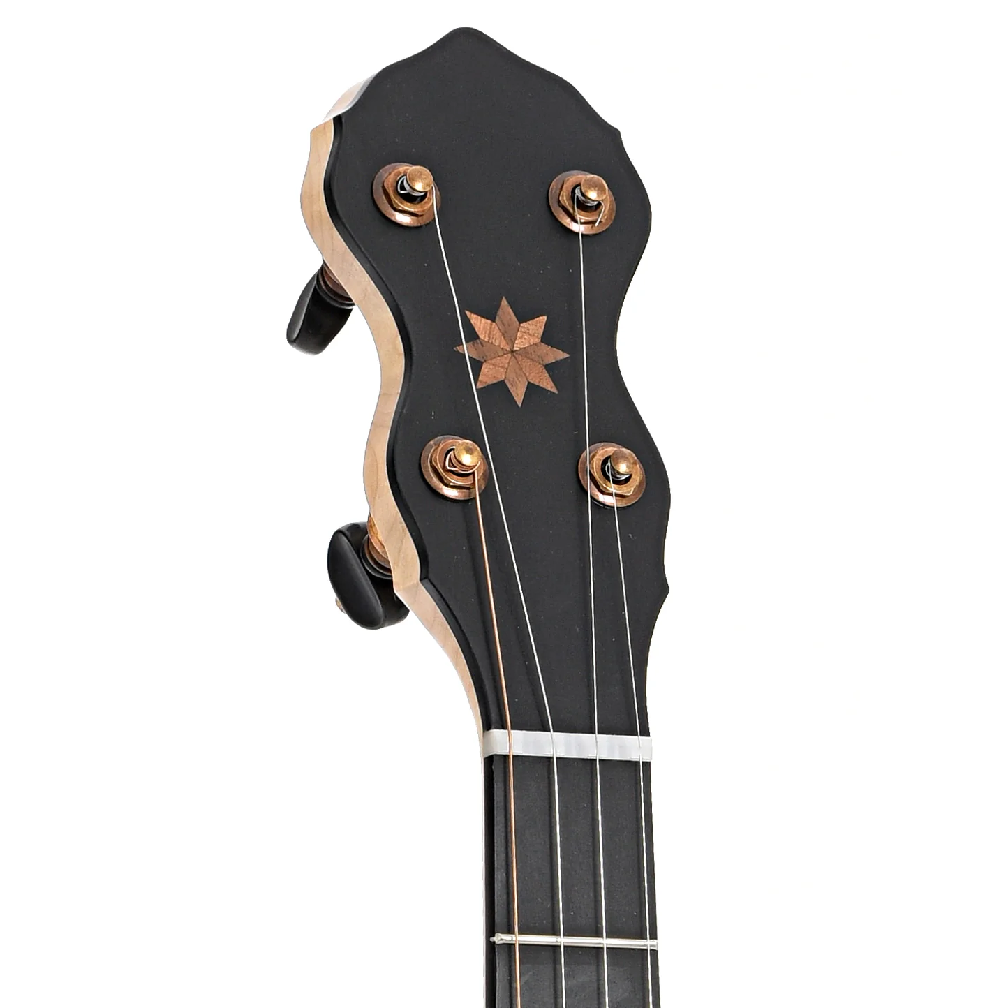 Pisgah Laydie 12in Short Scale Openback Banjo & Gigbag - Image 8