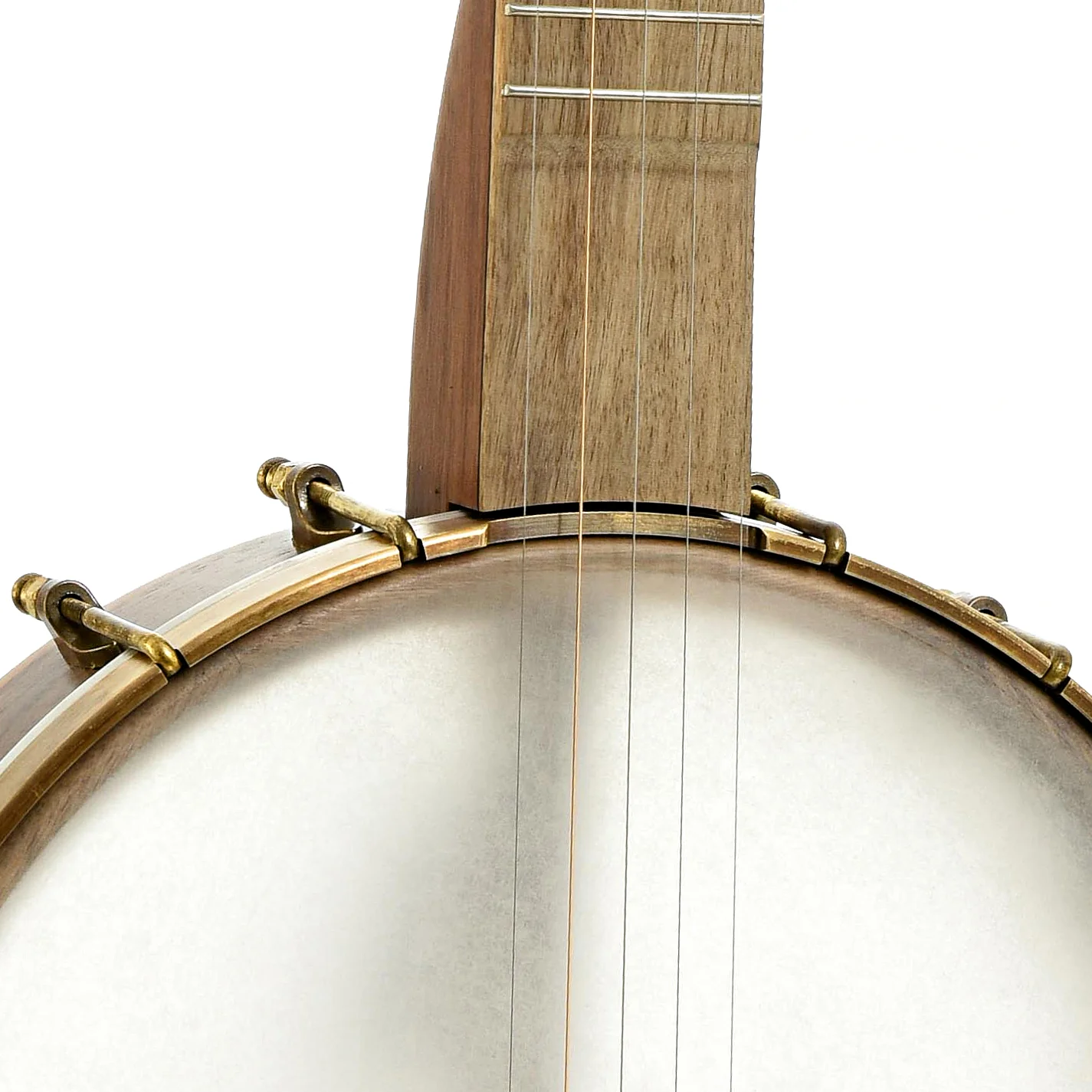 Pisgah Possum 11in Short Scale Openback Banjo & Gigbag, Walnut - Image 5