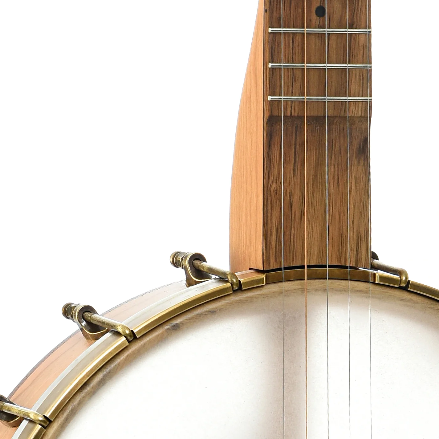 Pisgah Possum 12in Short Scale Openback Banjo & Gigbag, Cherry - Image 4