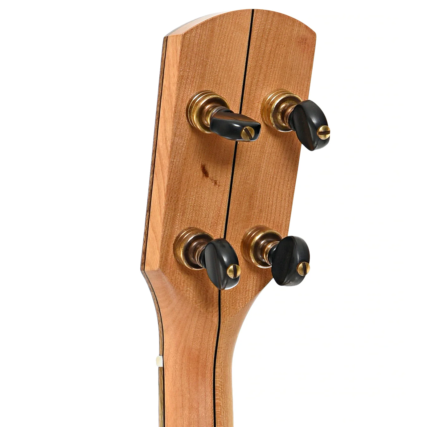Pisgah Possum 12in Short Scale Openback Banjo & Gigbag, Cherry - Image 7