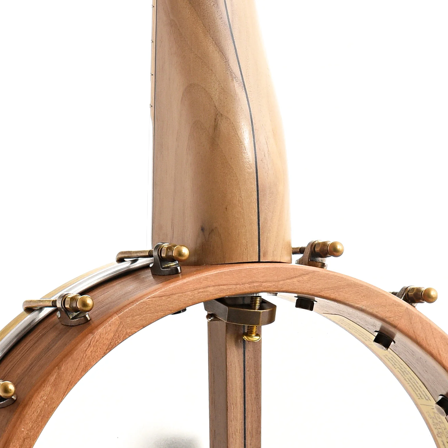 Pisgah Possum 12in Openback Banjo & Gigbag, Walnut - Image 8