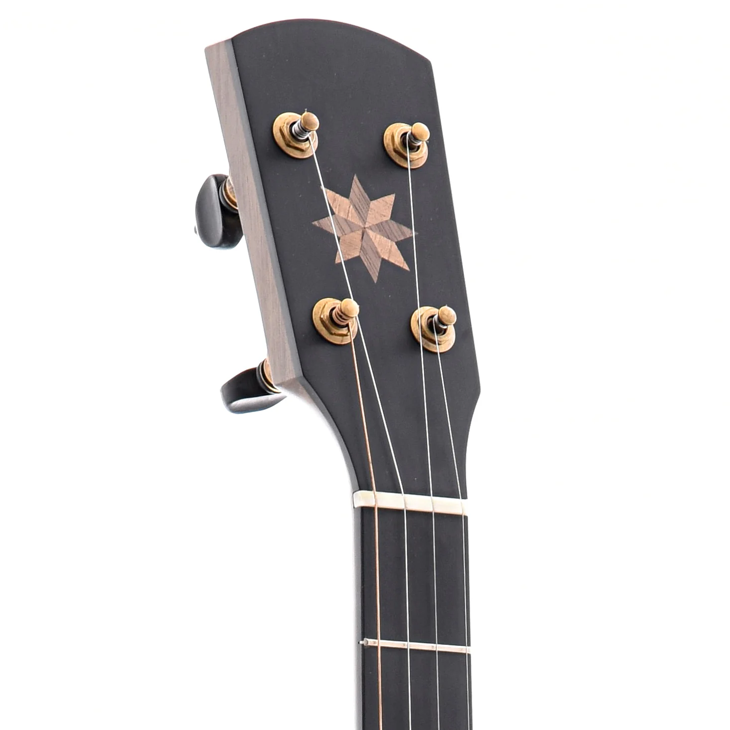 Pisgah Rambler Dobson Special 12in Openback Banjo & Gigbag, Walnut & Copper - Image 6
