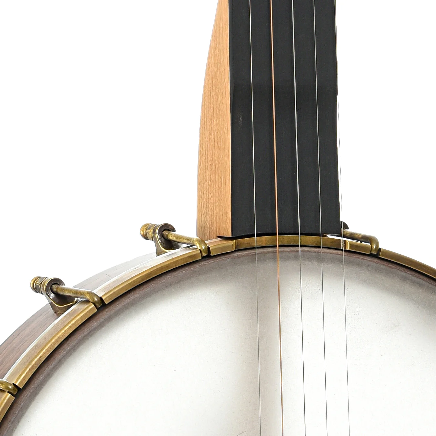 Pisgah Roscoe 12in Fretless Openback Banjo & Gigbag - Image 5