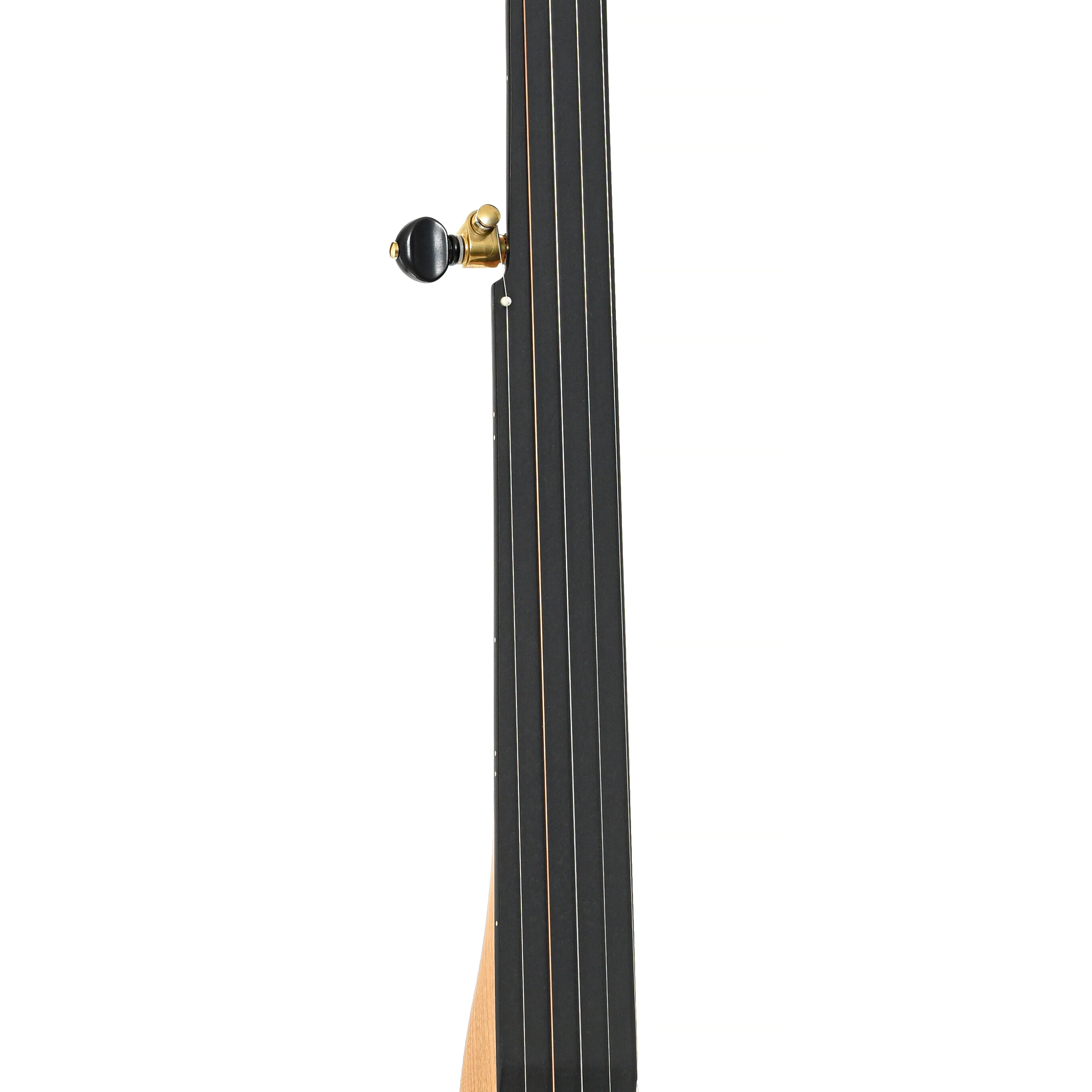 Pisgah Roscoe 12in Fretless Openback Banjo & Gigbag - Image 6
