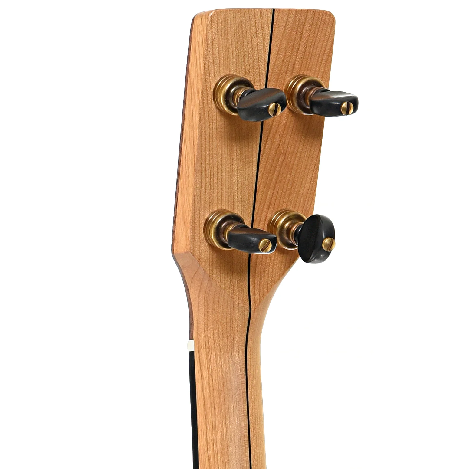 Pisgah Roscoe 12in Fretless Openback Banjo & Gigbag - Image 8