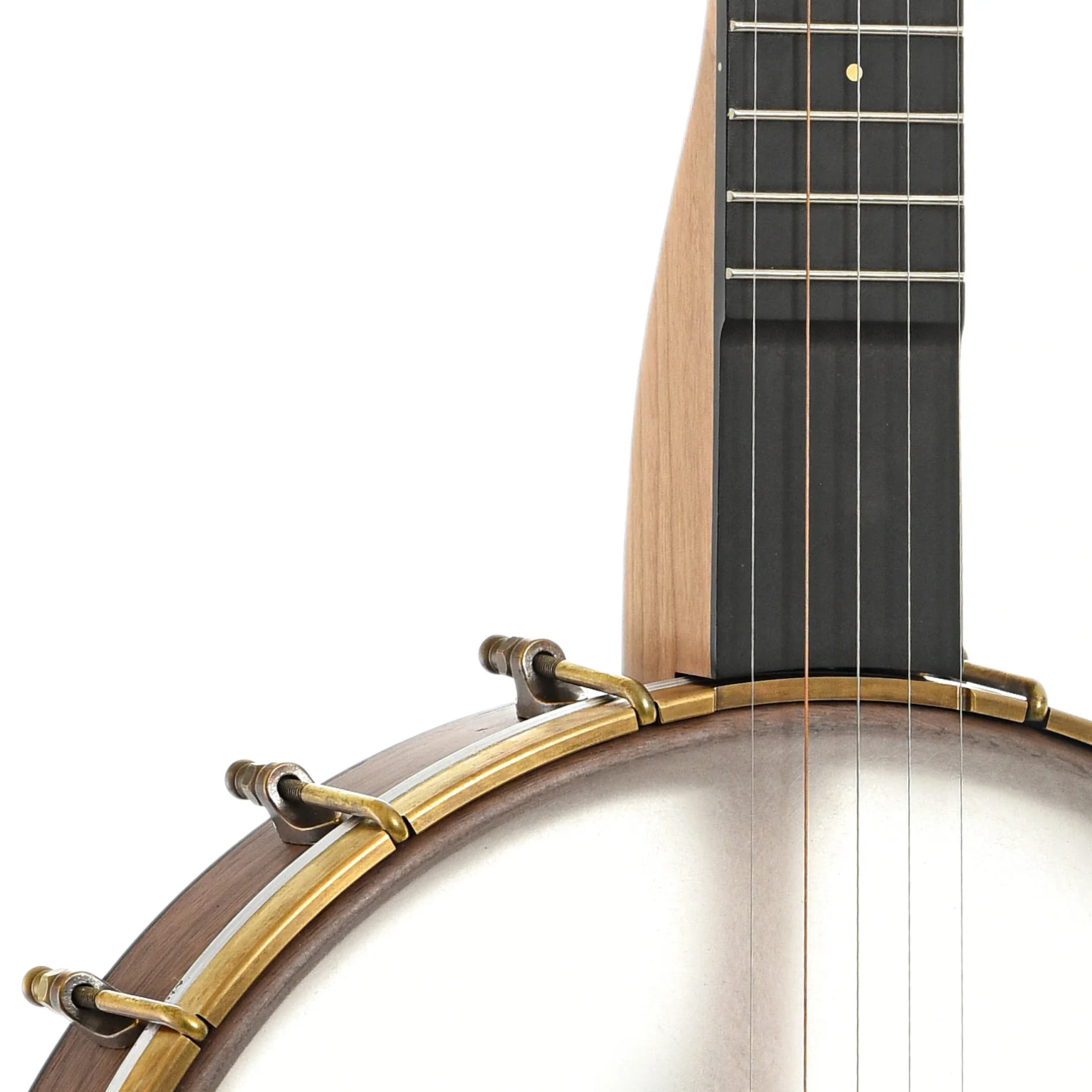 Pisgah Roscoe 12in Openback Banjo & Gigbag - Image 5