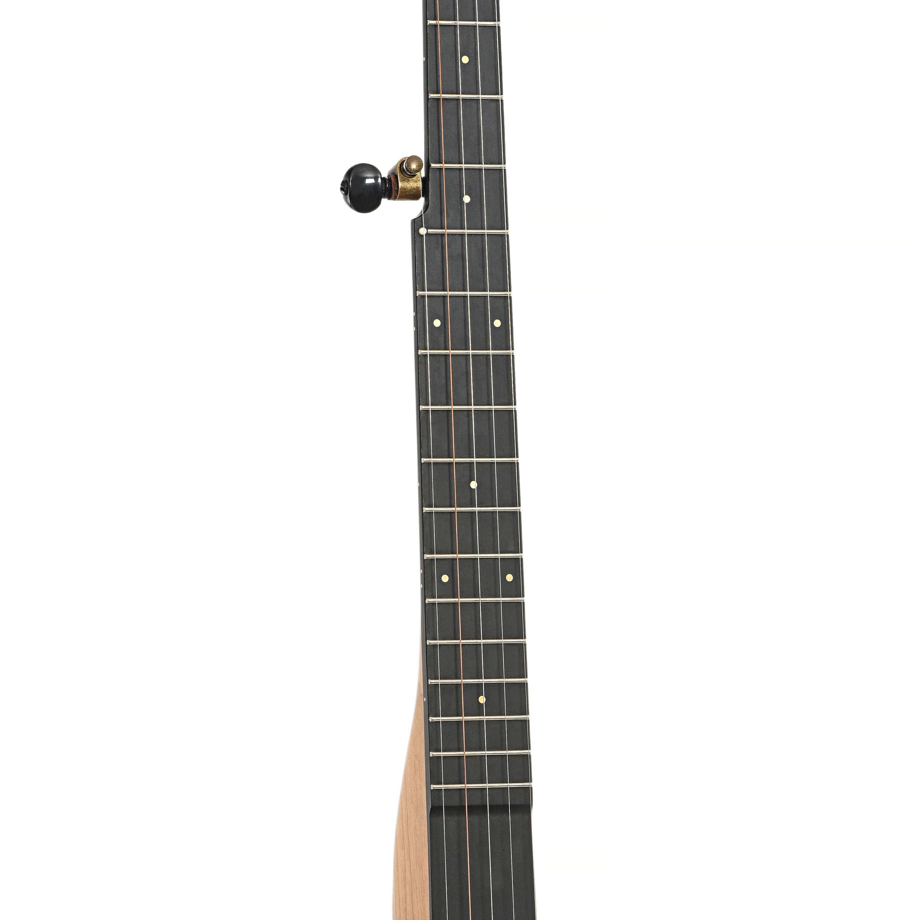 Pisgah Roscoe 12in Openback Banjo & Gigbag - Image 6