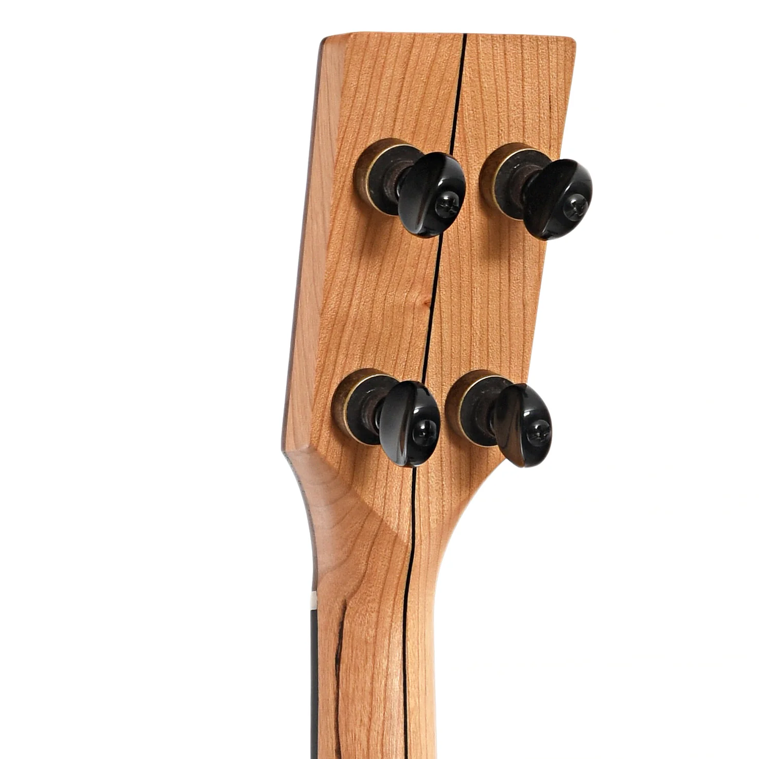 Pisgah Roscoe 12in Openback Banjo & Gigbag - Image 8