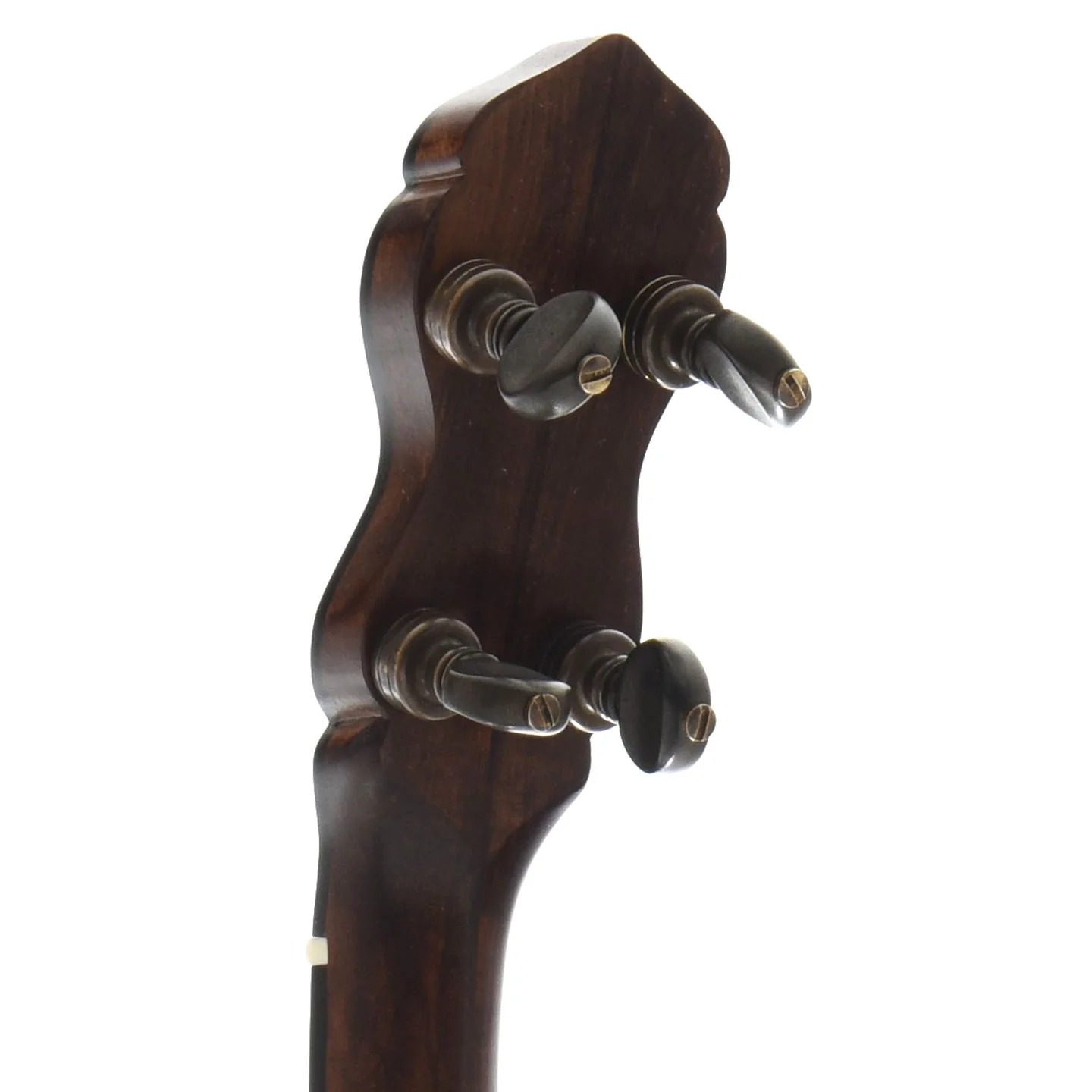 Pisgah Wonder 11in Short Scale Openback Banjo & Gigbag - Image 8