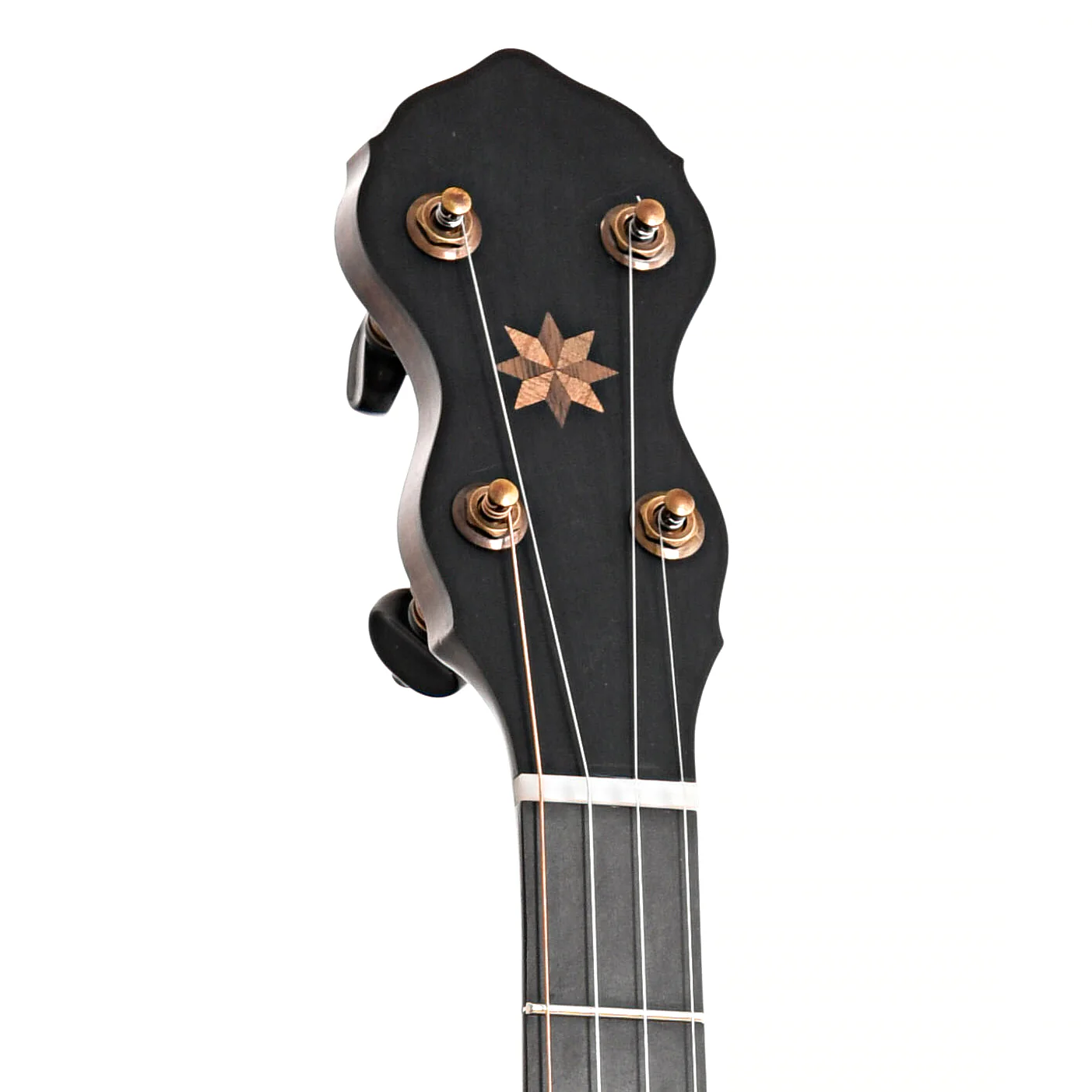 Pisgah Wonder 12in Short Scale Openback Banjo & Gigbag - Image 7