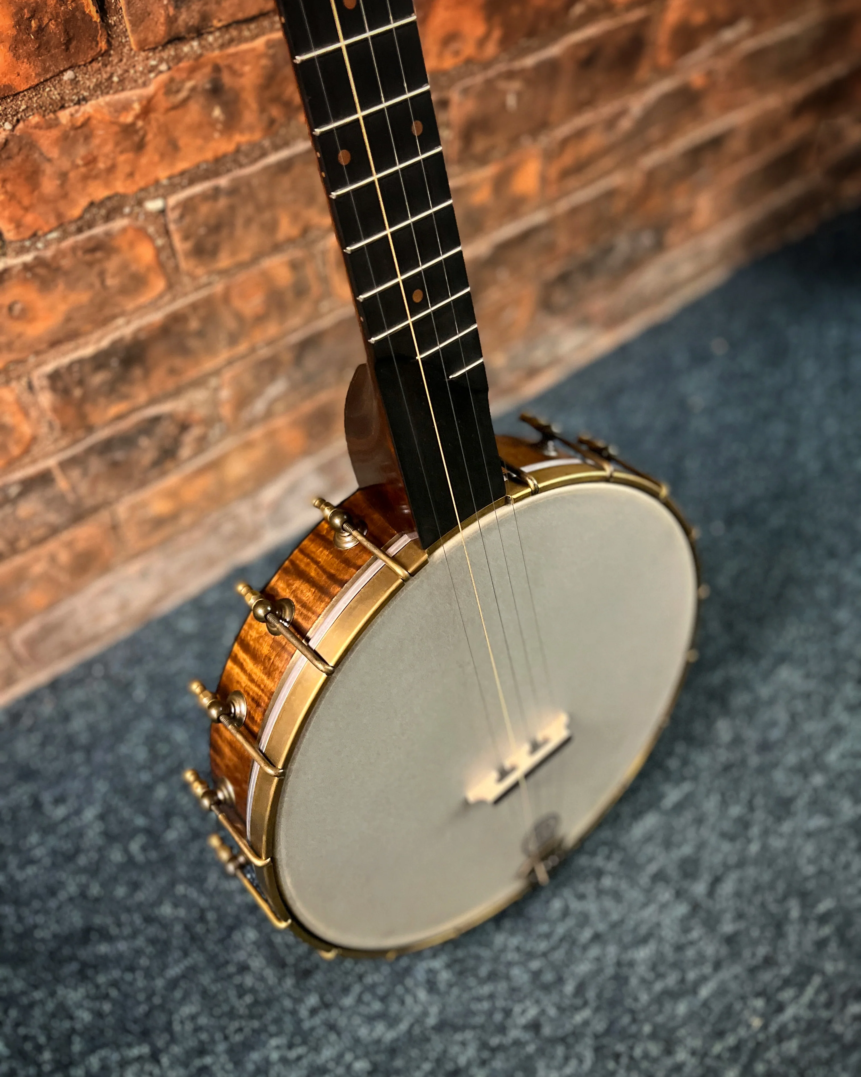 Pisgah Wonder 12in Openback Banjo & Gigbag - Image 3