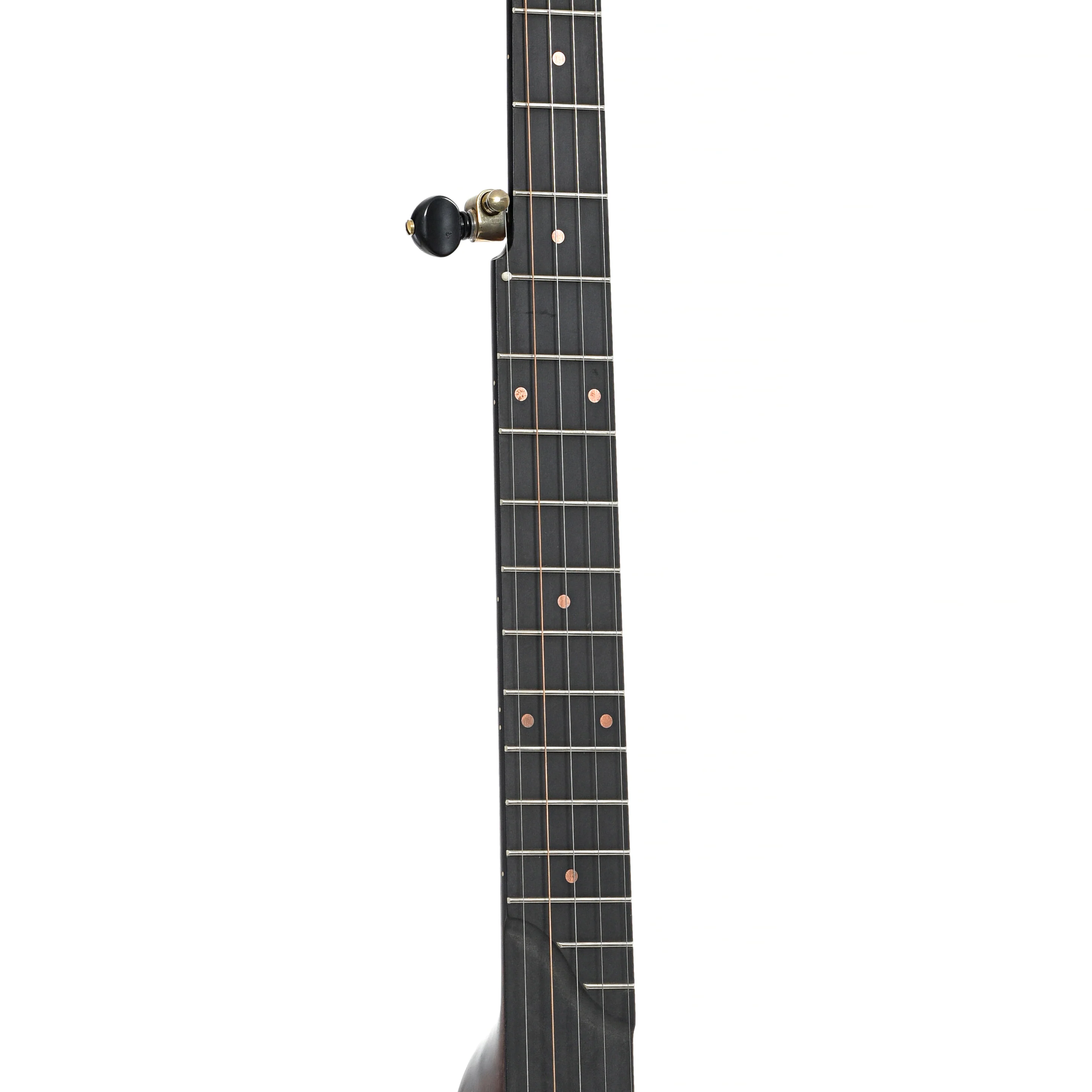 Pisgah Wonder 12in Openback Banjo & Gigbag - Image 6
