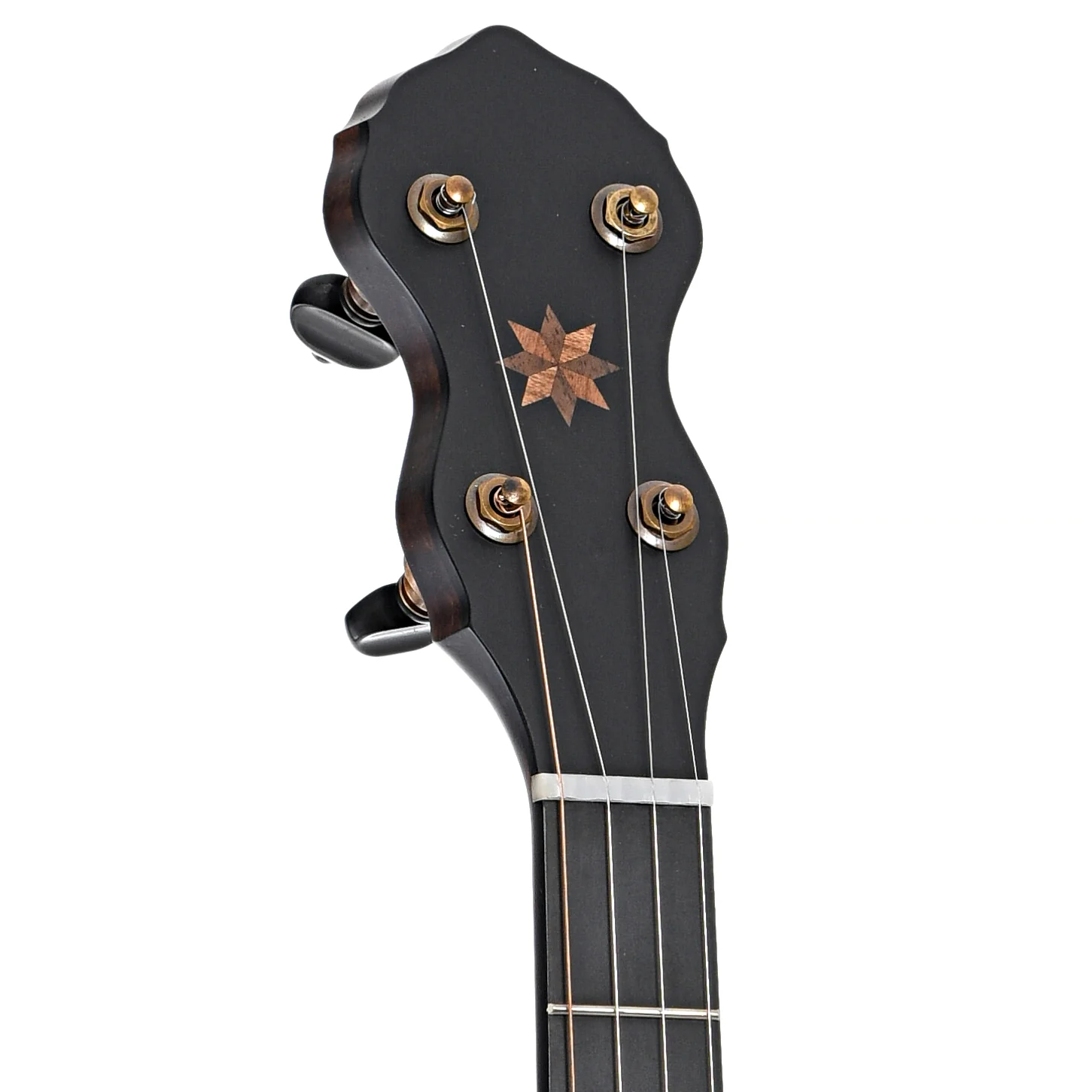 Pisgah Wonder 12in Openback Banjo & Gigbag - Image 7