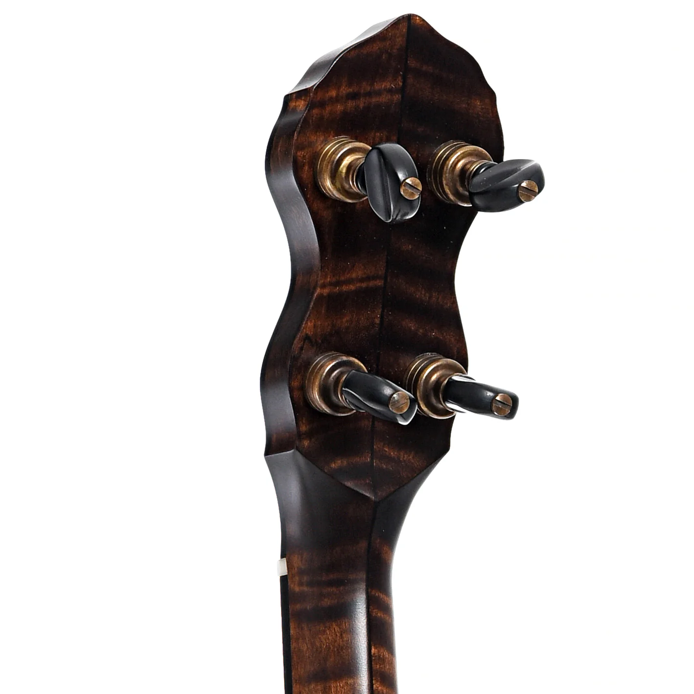 Pisgah Wonder 12in Openback Banjo & Gigbag - Image 8