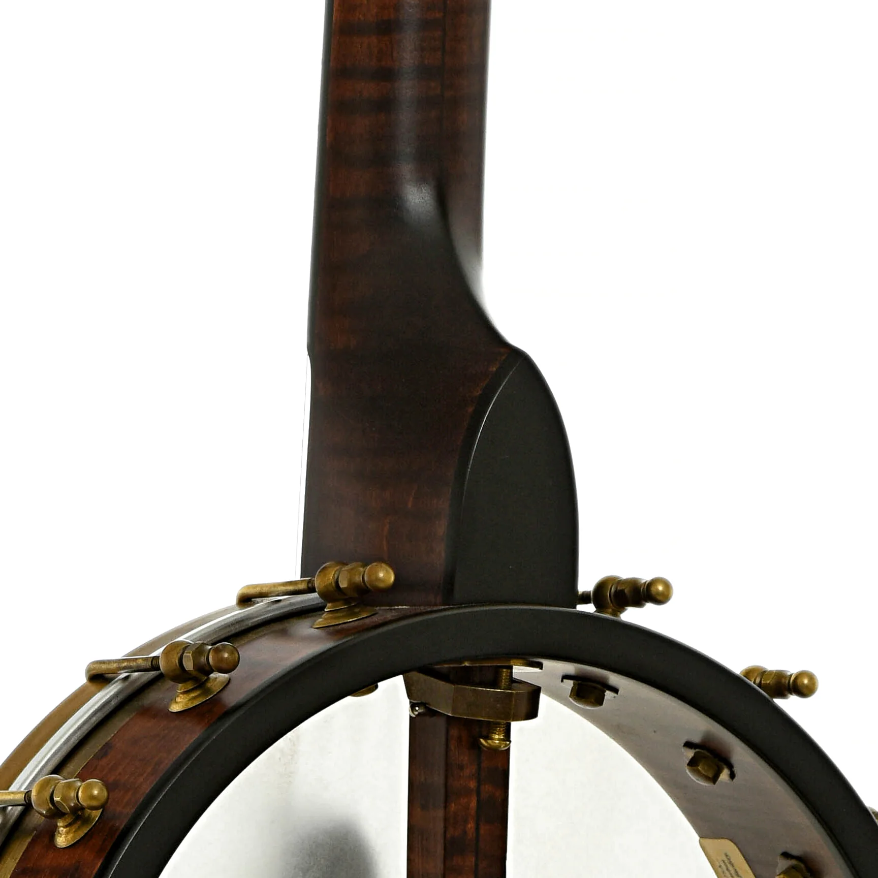 Pisgah Wonder Maple 11" Open Back Banjo (2024) - Image 11