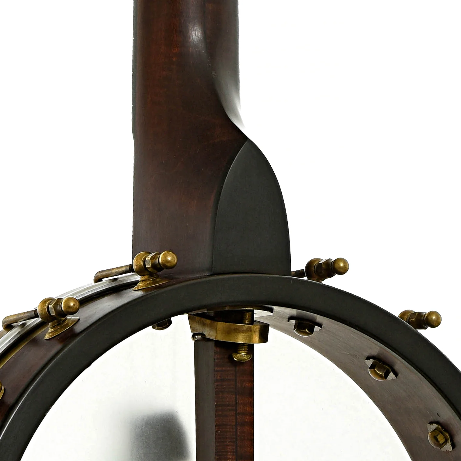 Pisgah Wonder Open Back Banjo (2023) - Image 10