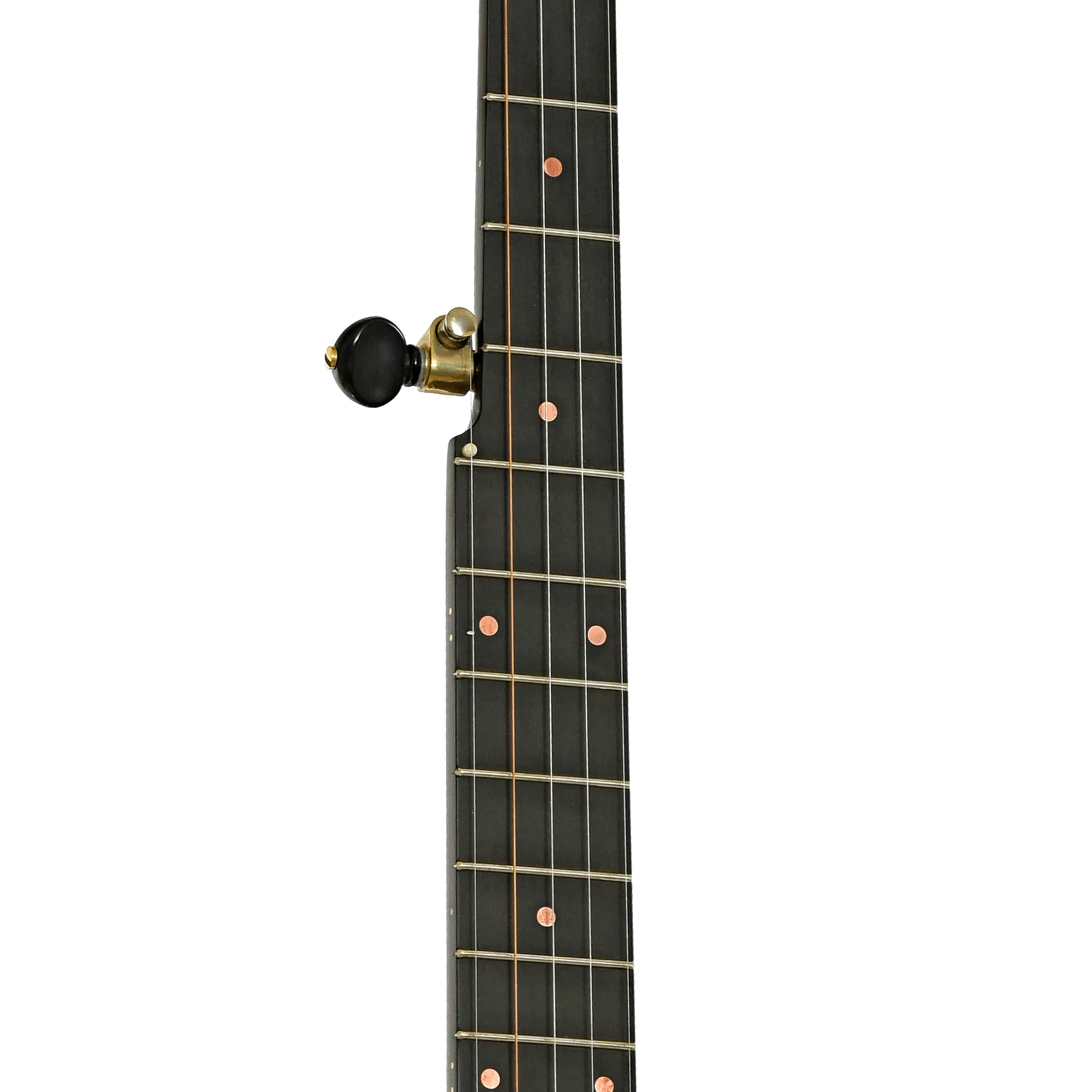 Pisgah Wonder Open Back Banjo (2023) - Image 7