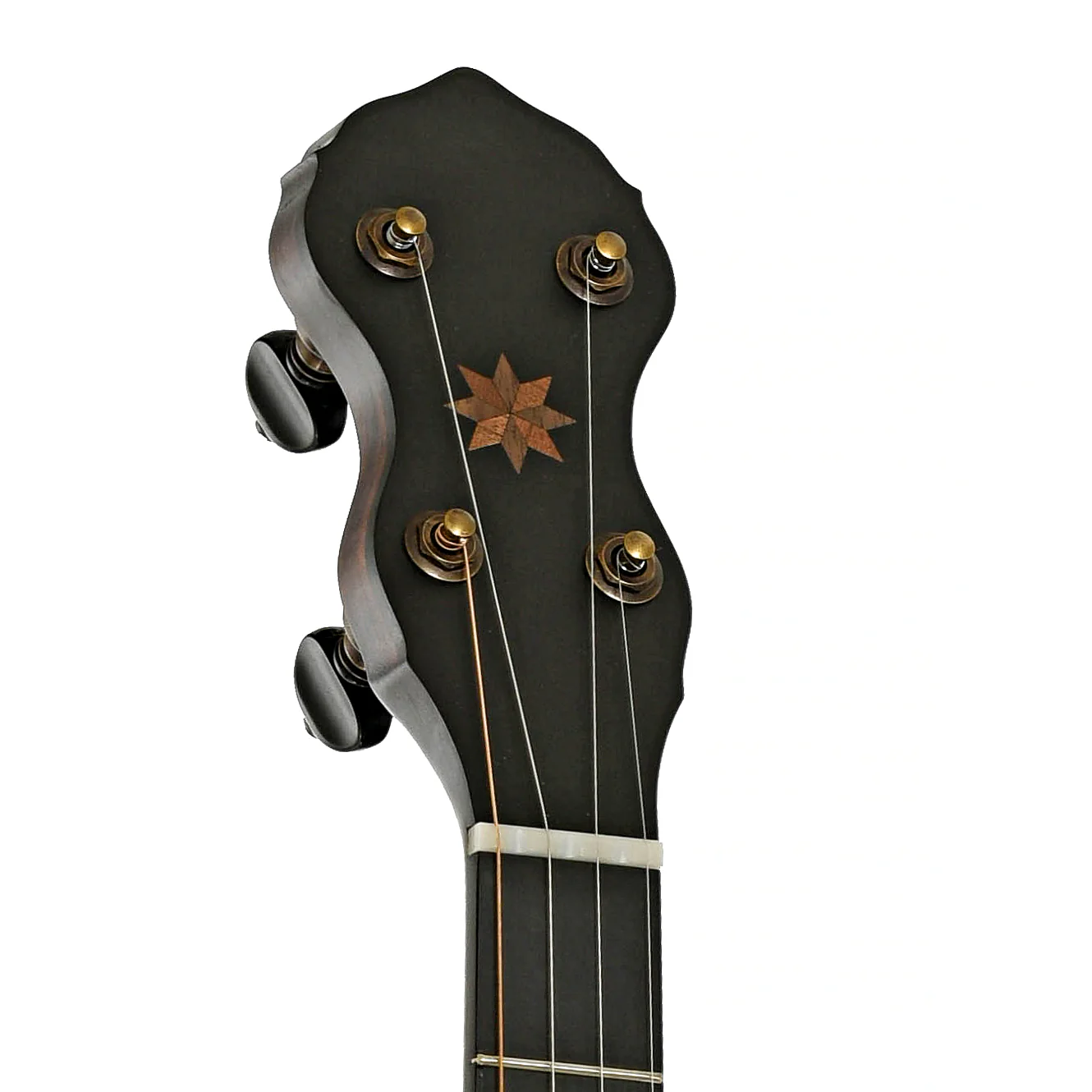 Pisgah Wonder Open Back Banjo (2023) - Image 8