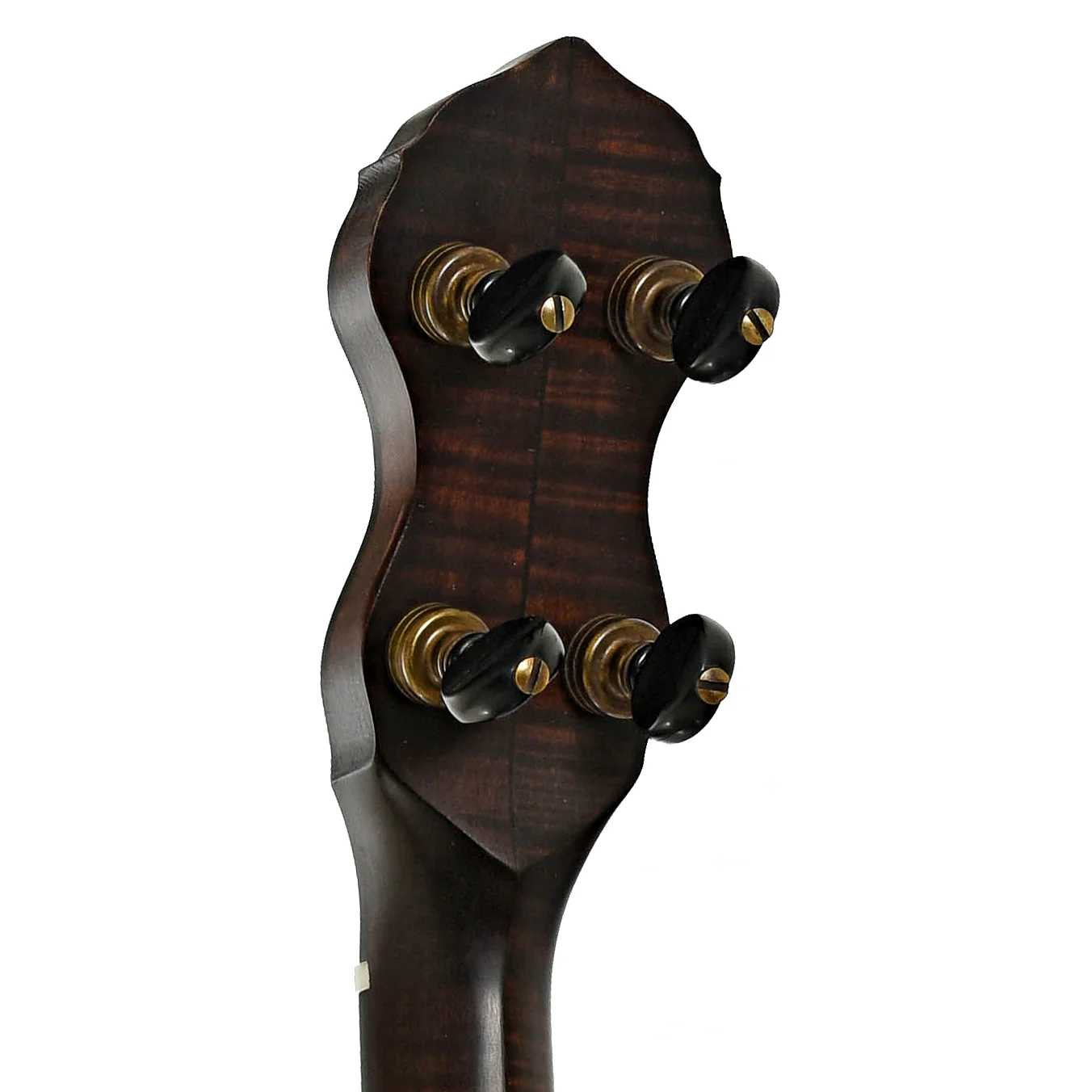 Pisgah Wonder Open Back Banjo (2023) - Image 9