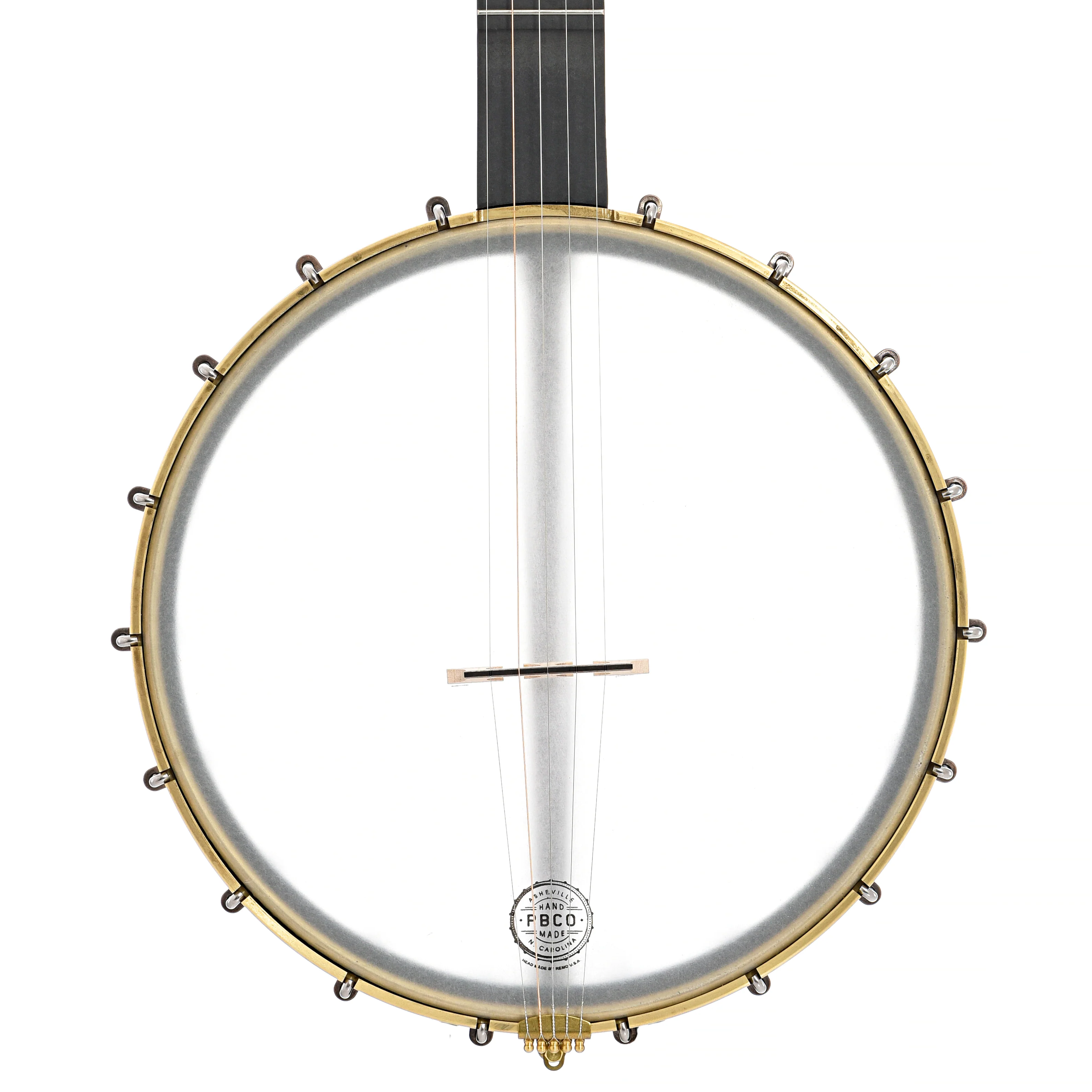 Pisgah Woodchuck 12in Openback Banjo & Gigbag - Image 4