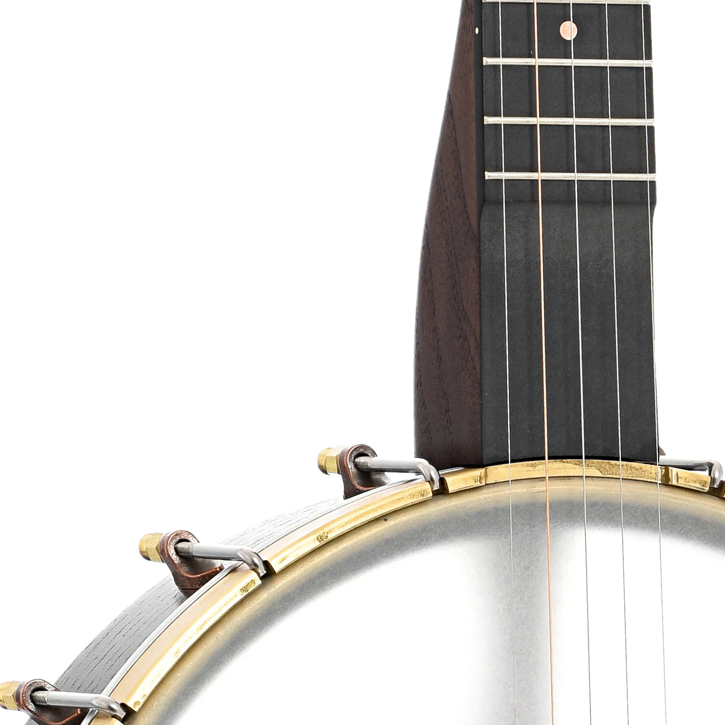 Pisgah Woodchuck 12in Openback Banjo & Gigbag - Image 6