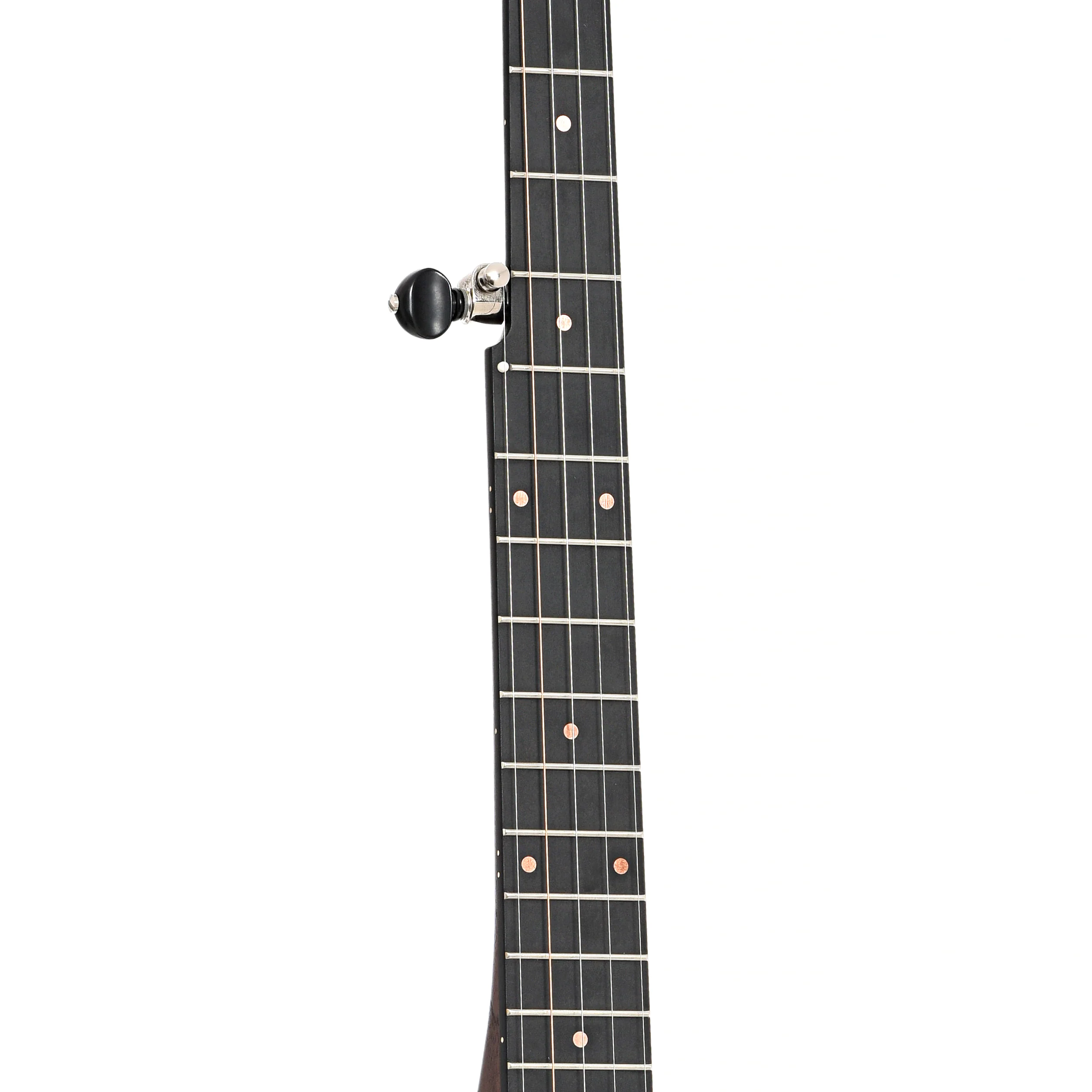 Pisgah Woodchuck 12in Openback Banjo & Gigbag - Image 7