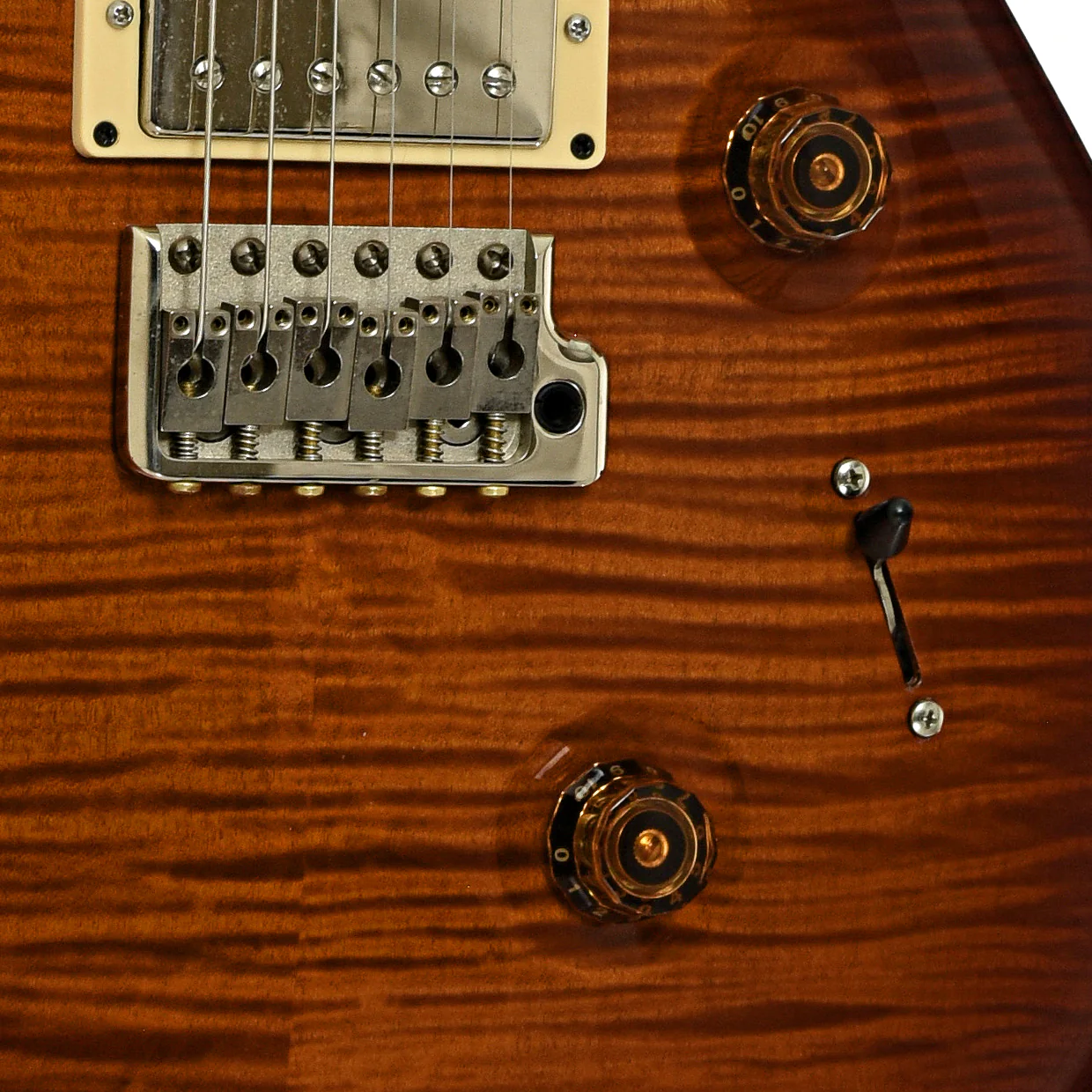 PRS Custom 24 10-Top Electric Guitar (2009) - Image 5
