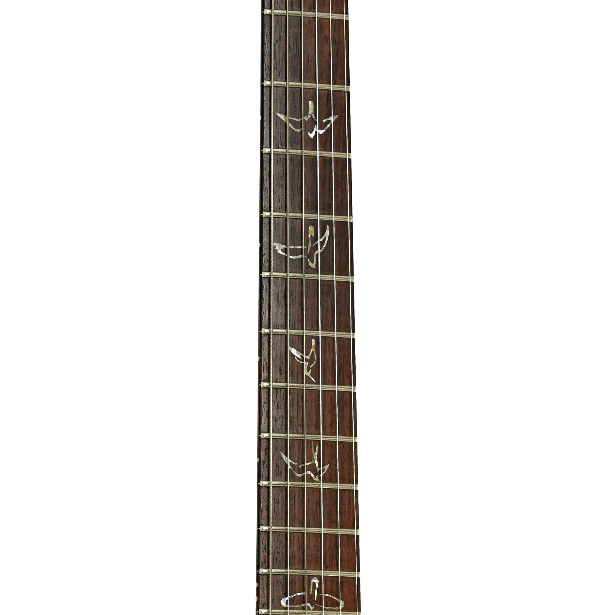 PRS Custom 24 10-Top Electric Guitar (2009) - Image 7