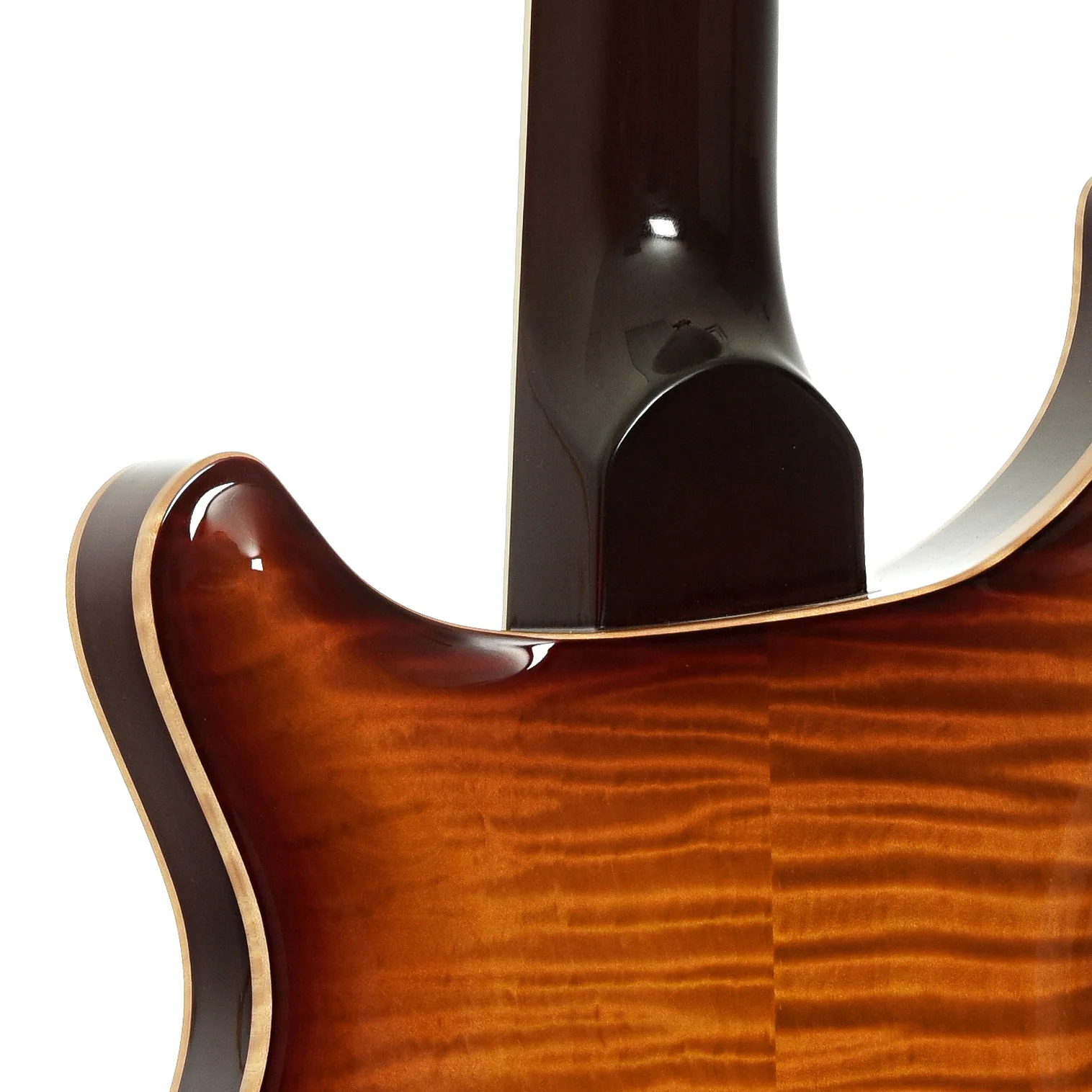 PRS Hollowbody II 25th Anniversary Electric Guitar (2011) - Image 10