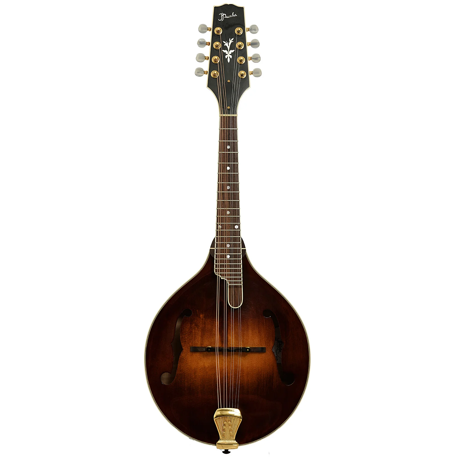 Prucha A5 Standard Mandolin (2002) - Image 14