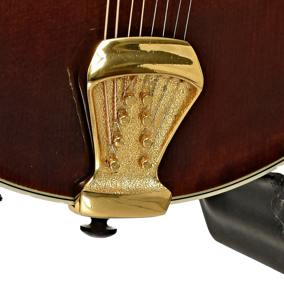 Prucha A5 Standard Mandolin (2002) - Image 5