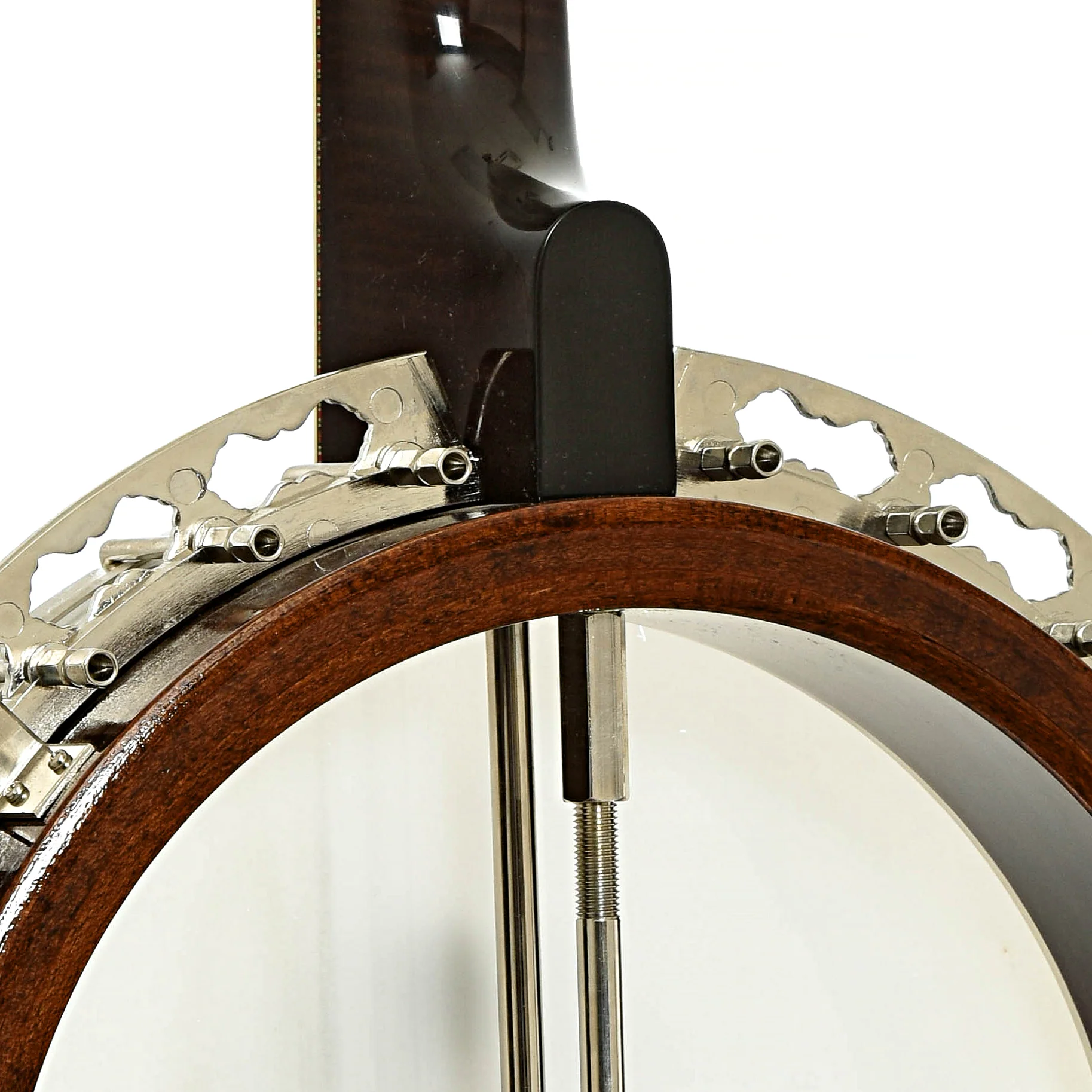Prucha Fall In Love Custom Resonator Banjo (2009) - Image 10