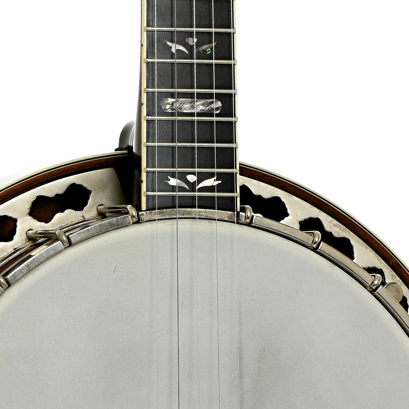 Prucha Fall In Love Custom Resonator Banjo (2009) - Image 6