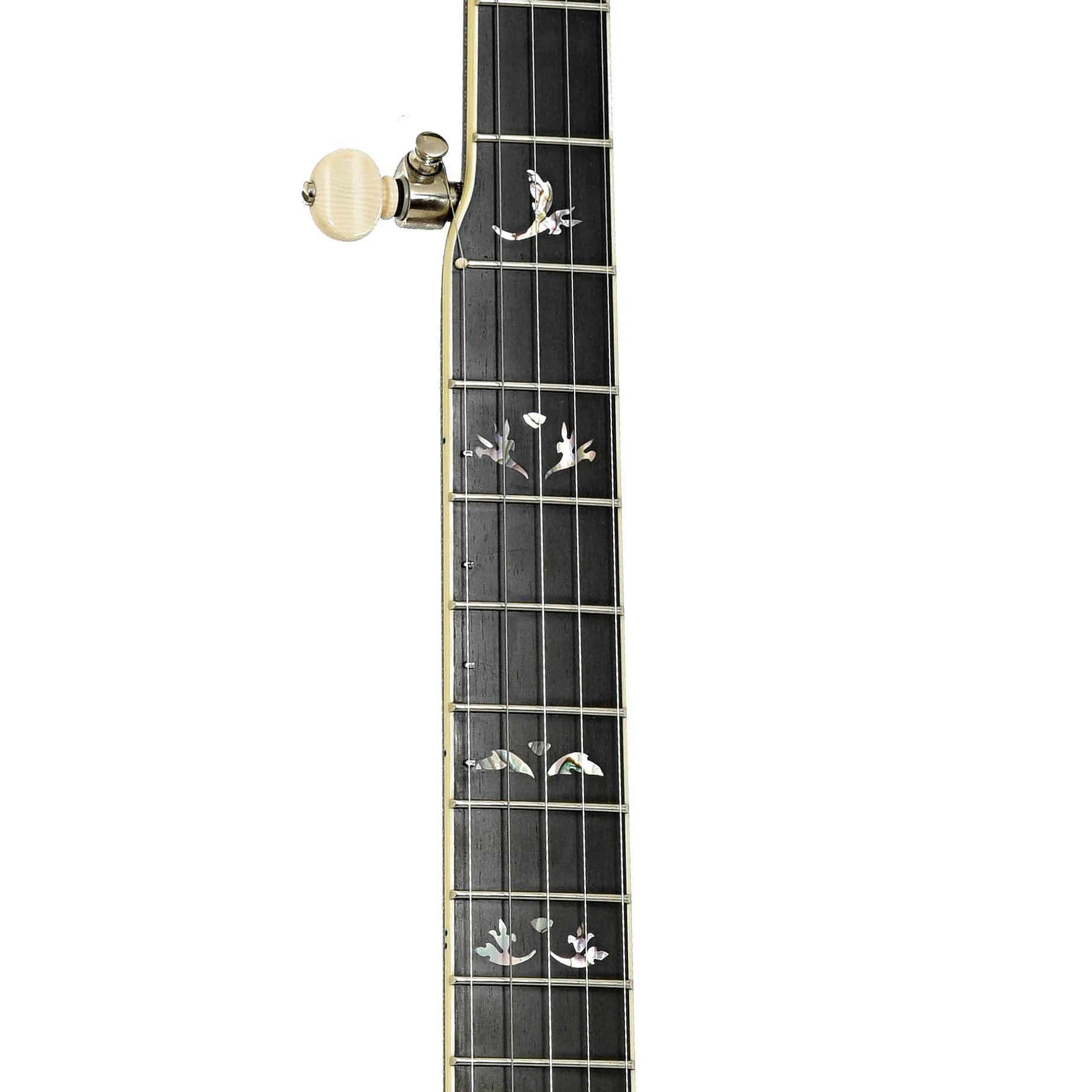 Prucha Fall In Love Custom Resonator Banjo (2009) - Image 7
