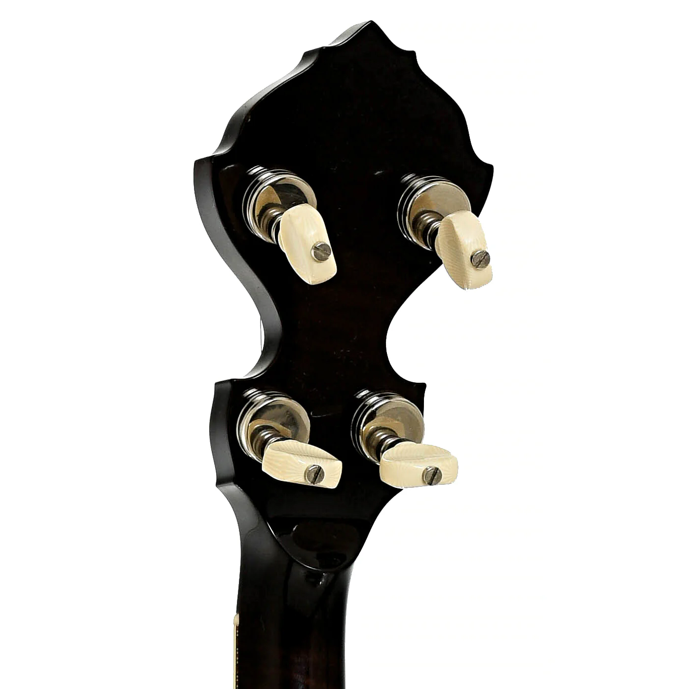 Prucha Fall In Love Custom Resonator Banjo (2009) - Image 9