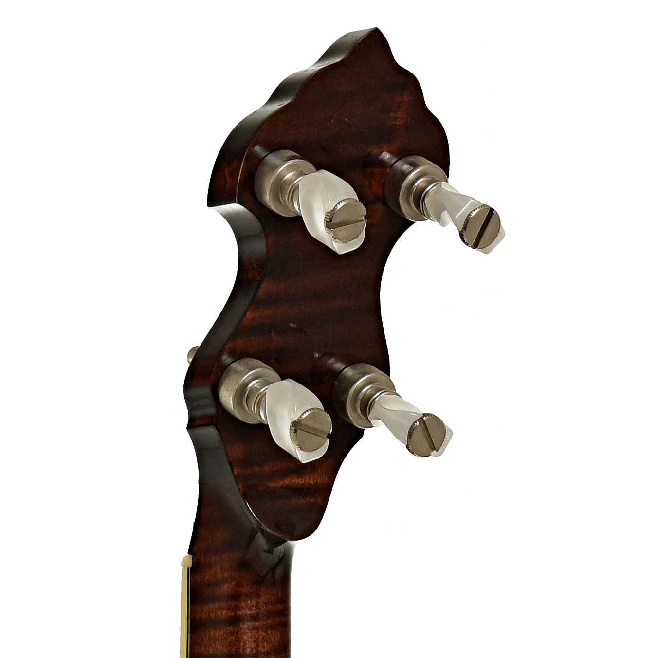 Prucha Premium Griffin Open Back Banjo (2000) - Image 9