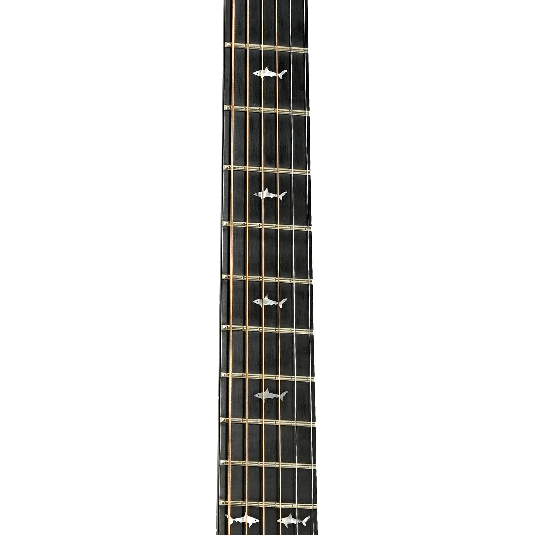 Rainsong JM1000 Jumbo Guitar (c.2002) - Image 7