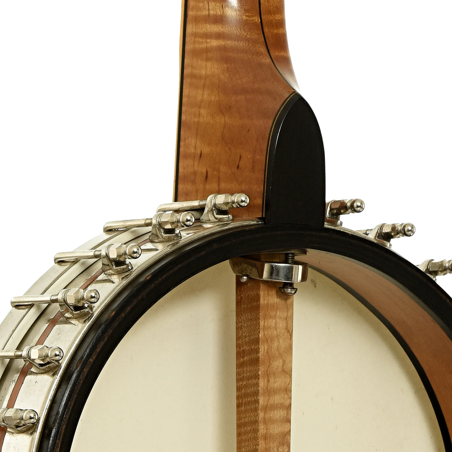 Ramsey / Vega Whyte Laydie Conversion Open Back Banjo (2000s) - Image 11